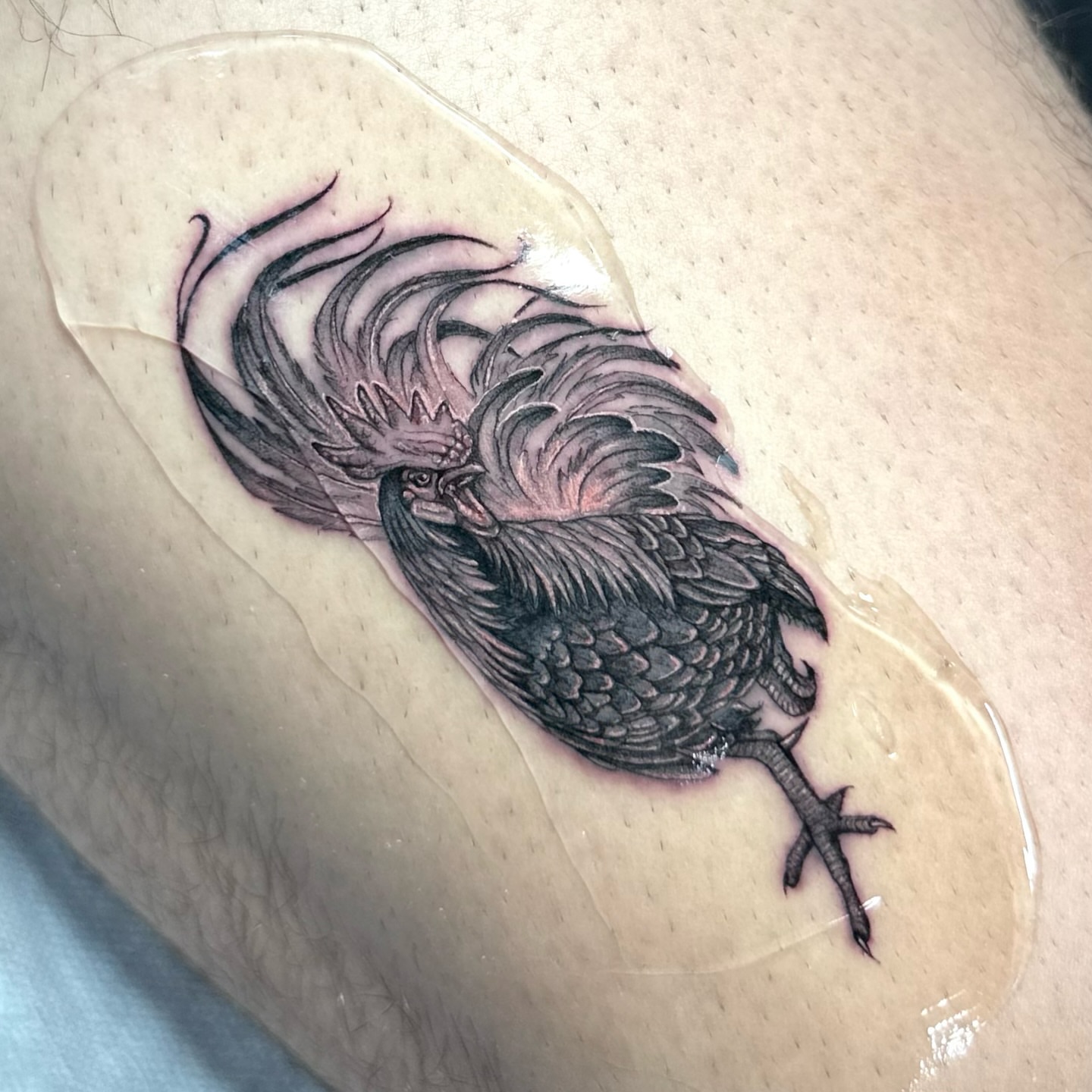 Rooster black and grey tattoo on the thigh by Yaya Tattoos ✩ Fine Line Tattoos