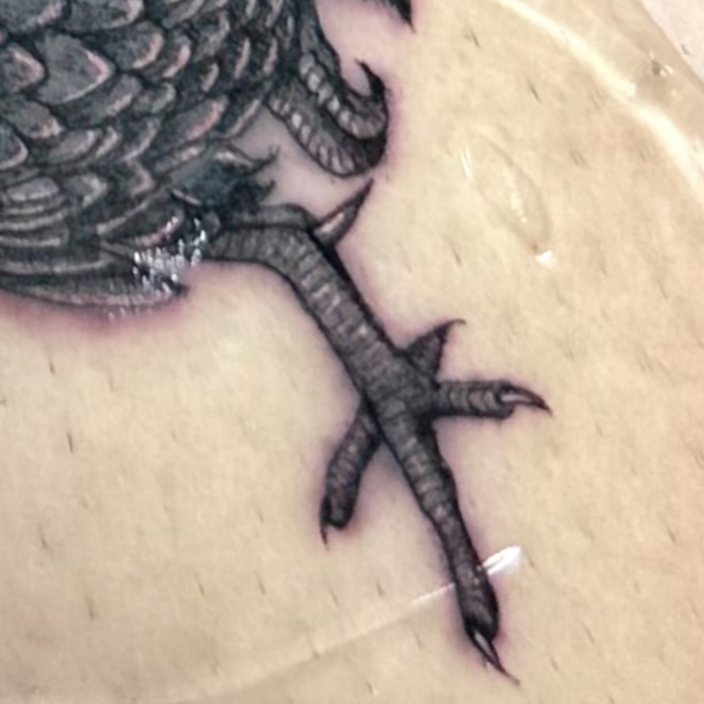 Bird foot black and grey tattoo on the foot by Yaya Tattoos ✩ Fine Line Tattoos
