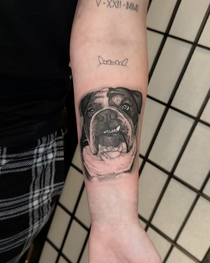Bulldog realism tattoo on the forearm by jordyn ๐ญ