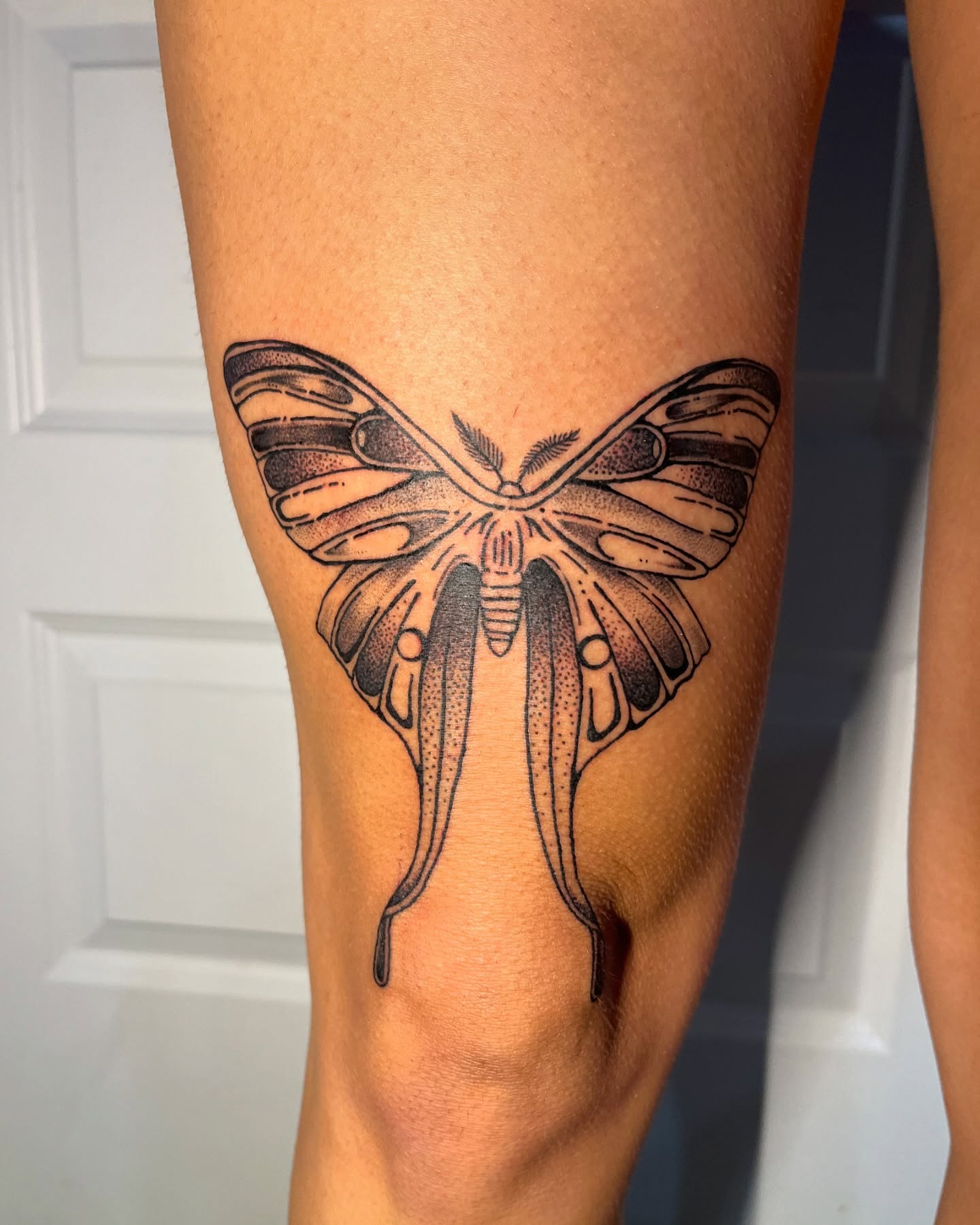 Butterfly dotwork tattoo on the leg by layne