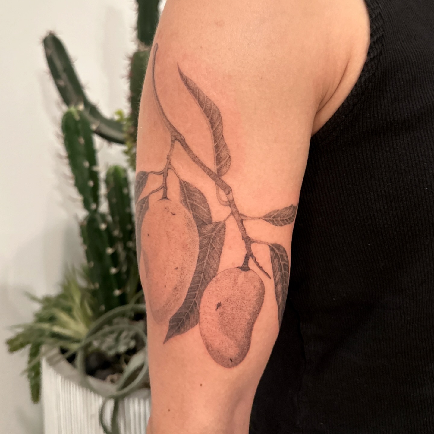 Mango branch realism tattoo on the forearm by Rachel