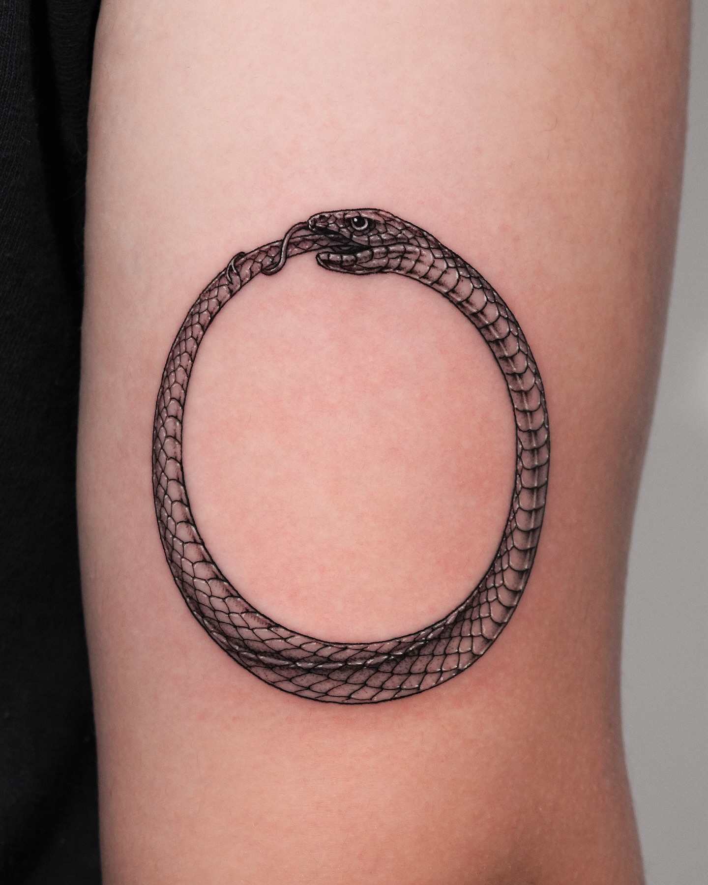Snake black and grey tattoo on the forearm by Intat