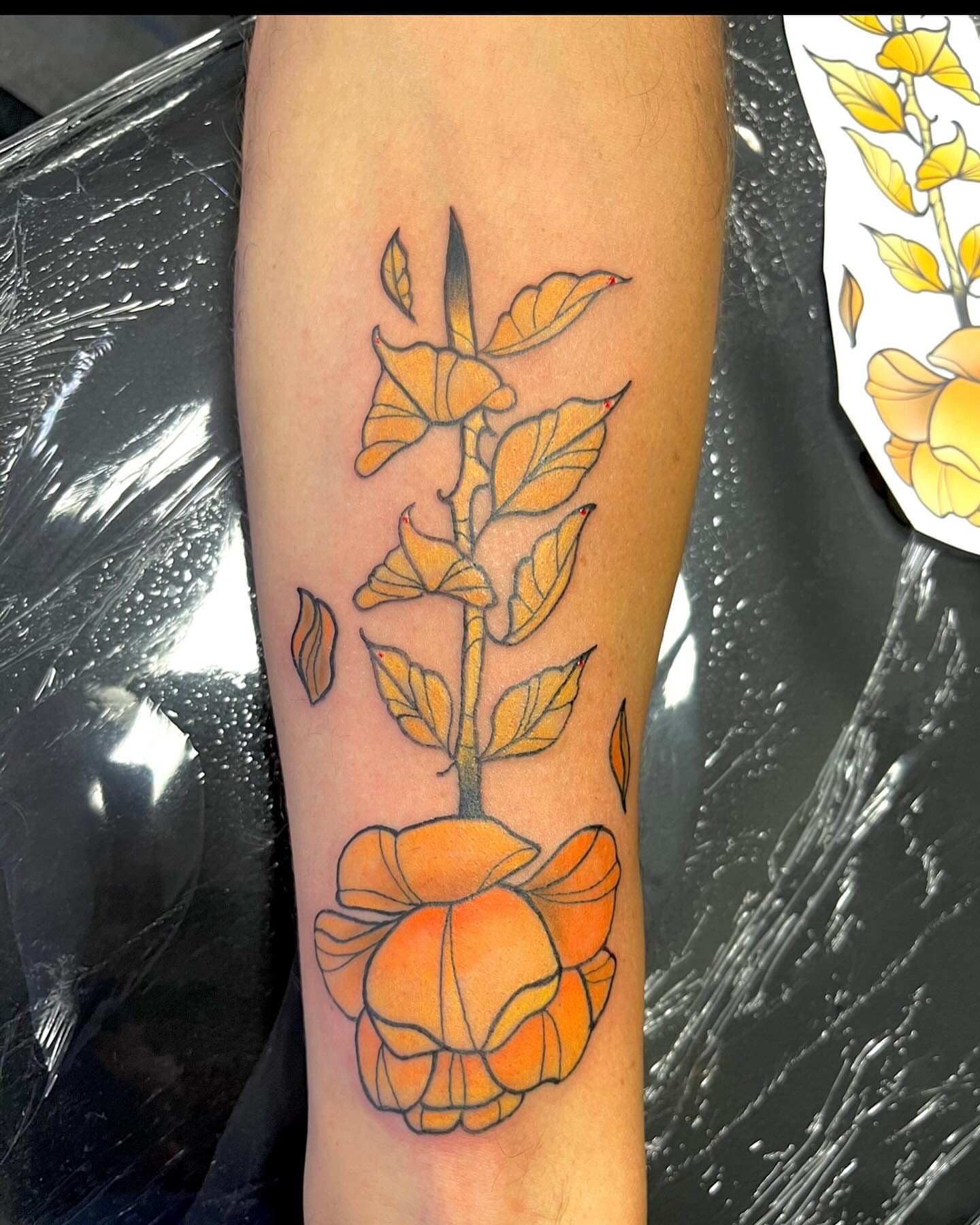 Orange rose new school tattoo on the forearm by Deville Pinson