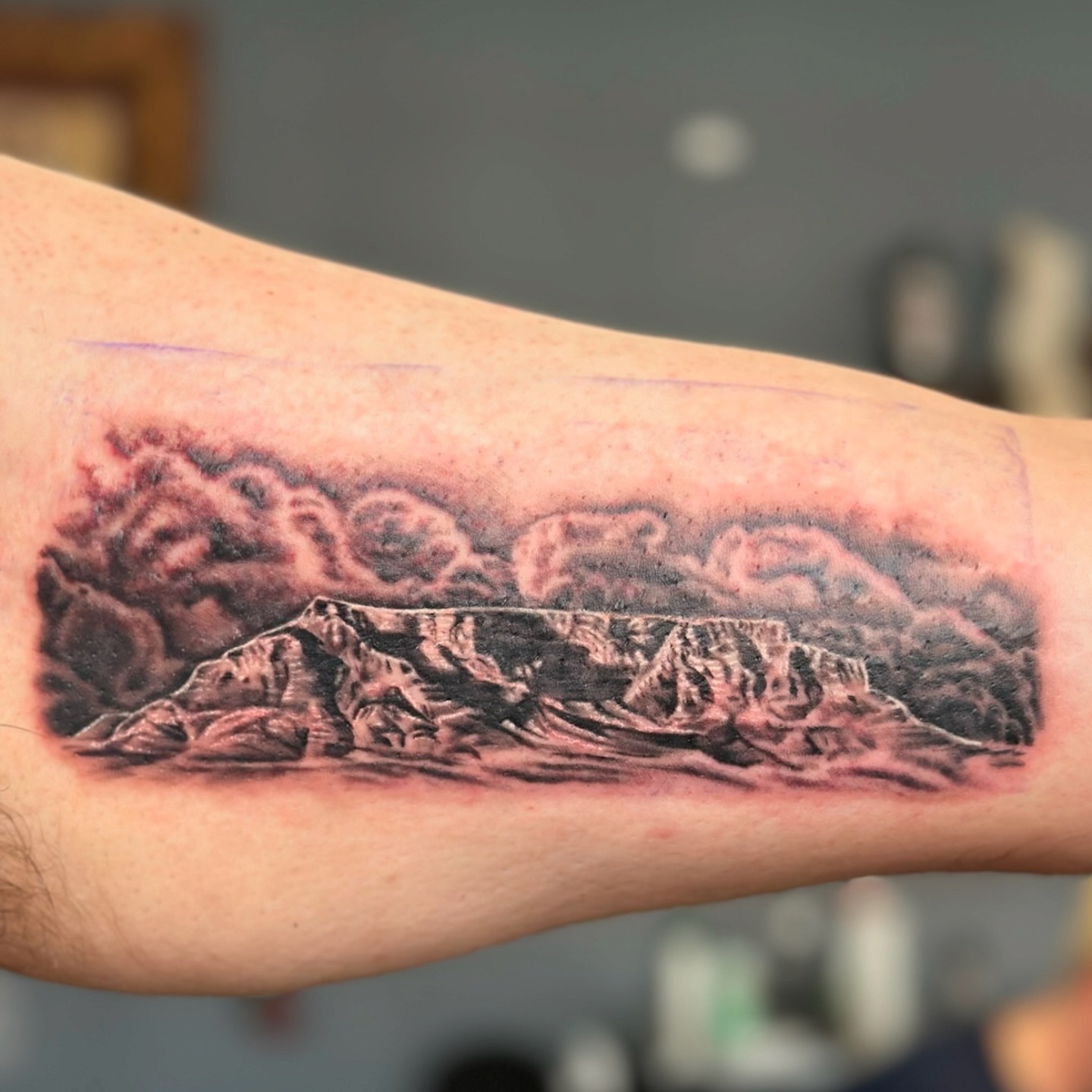 Mountain landscape realism tattoo on the forearm by Ohio Realism Tattoo Artist