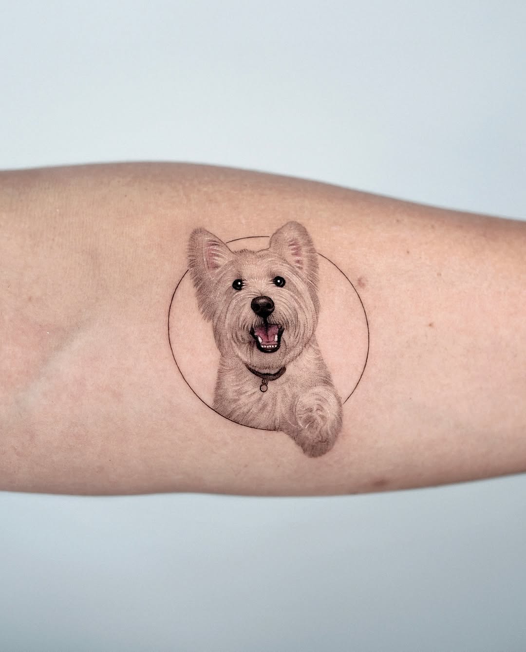 Tattoo by @zeal_tattoo — realism, black_and_grey