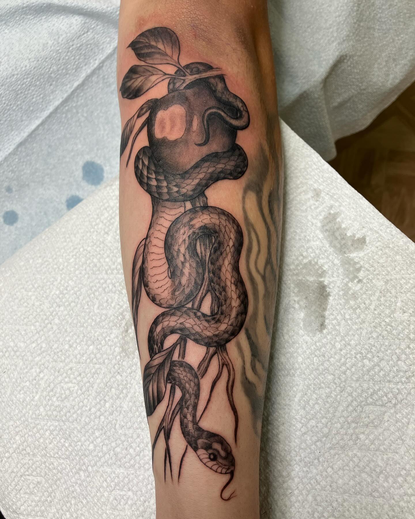 Snake and apple realism tattoo on the forearm by Hunter McGinnis