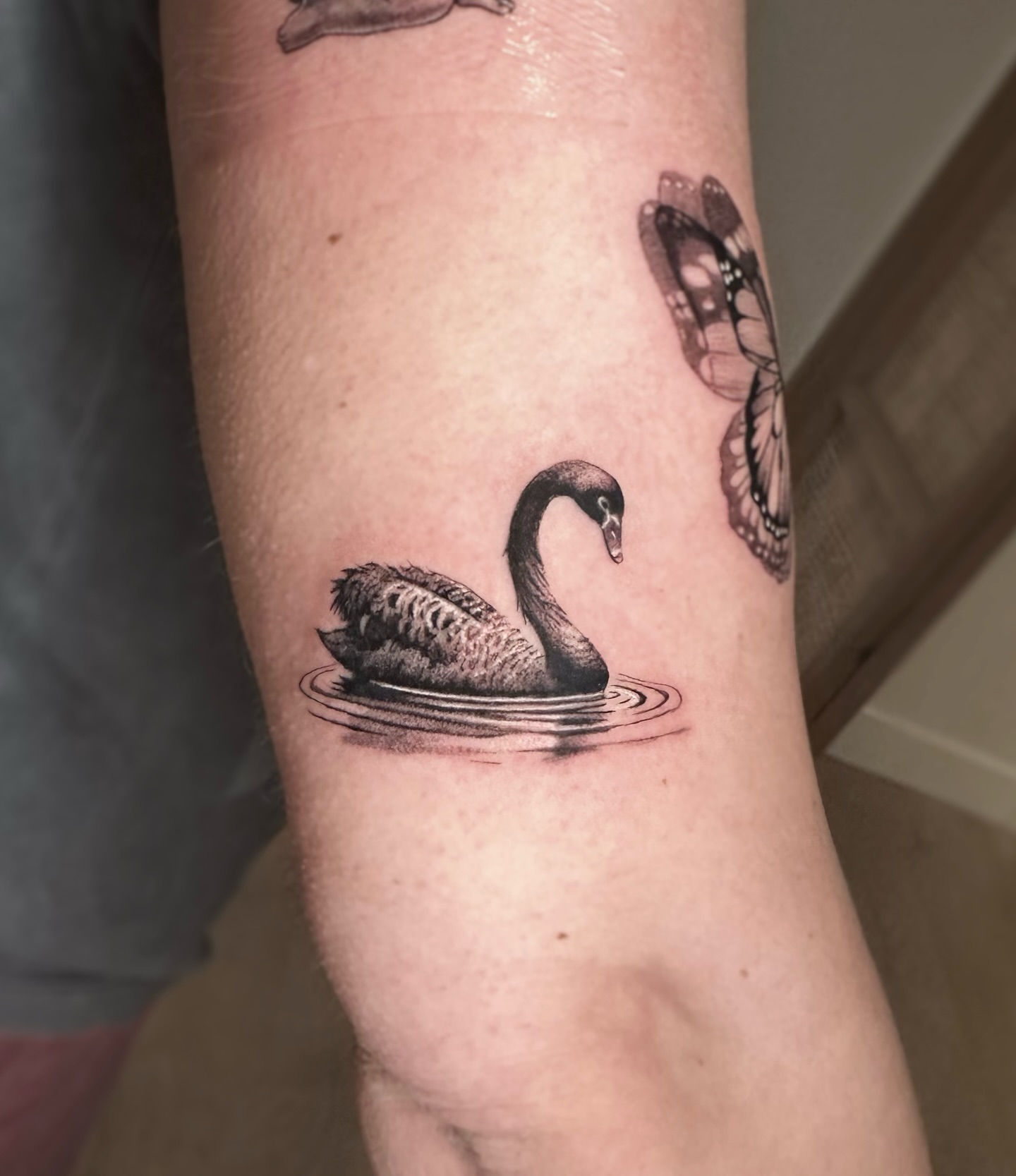 Swan realism tattoo on the forearm by Oxana