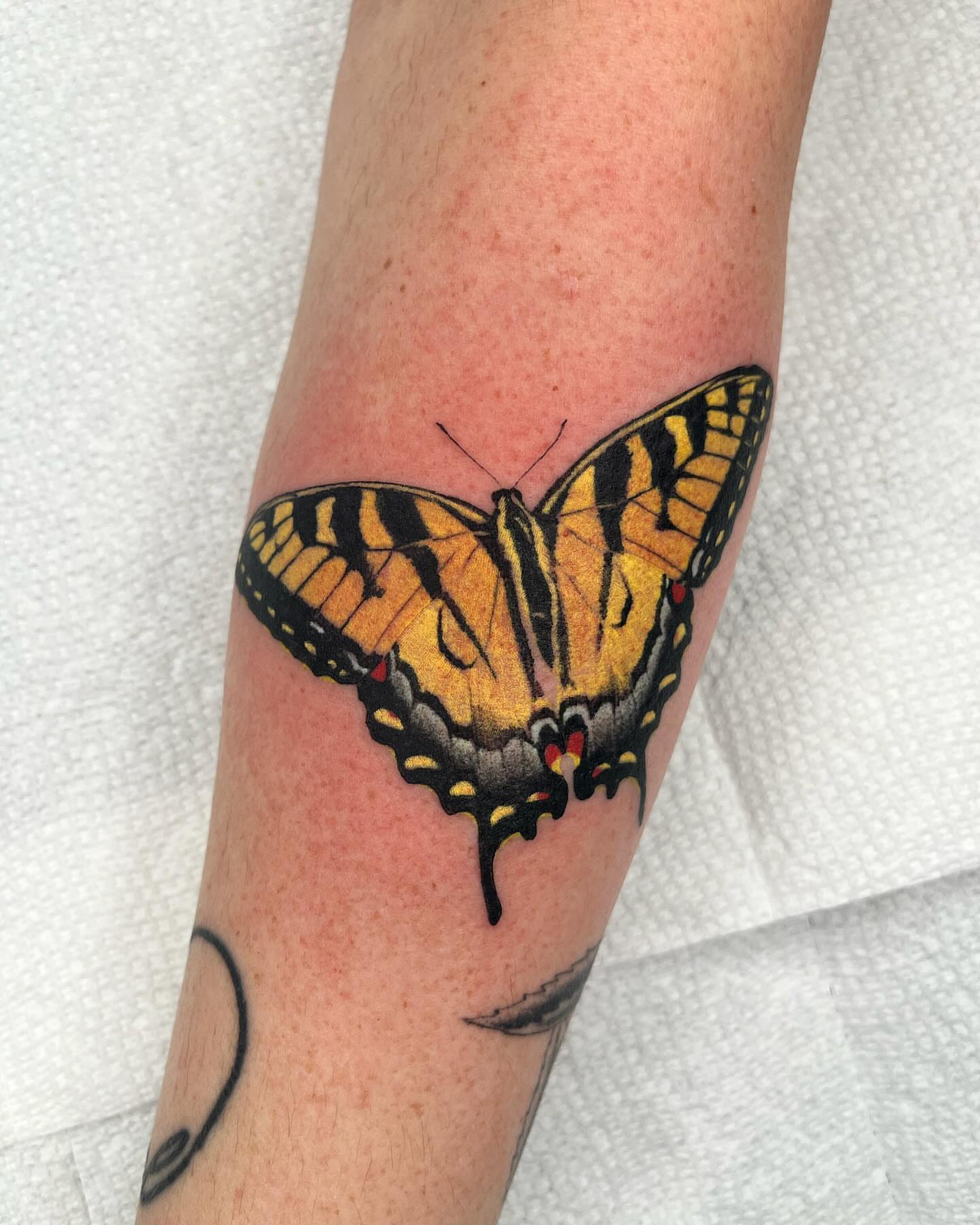 Butterfly realism tattoo on the forearm by zach arlan, Kansas City, Missouri
