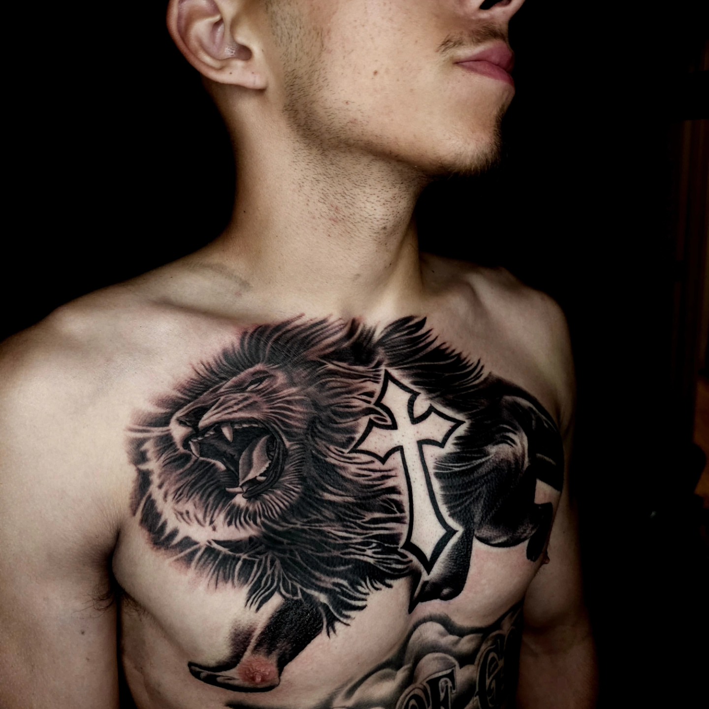 Roaring lion realism tattoo on the chest by “Gonzo