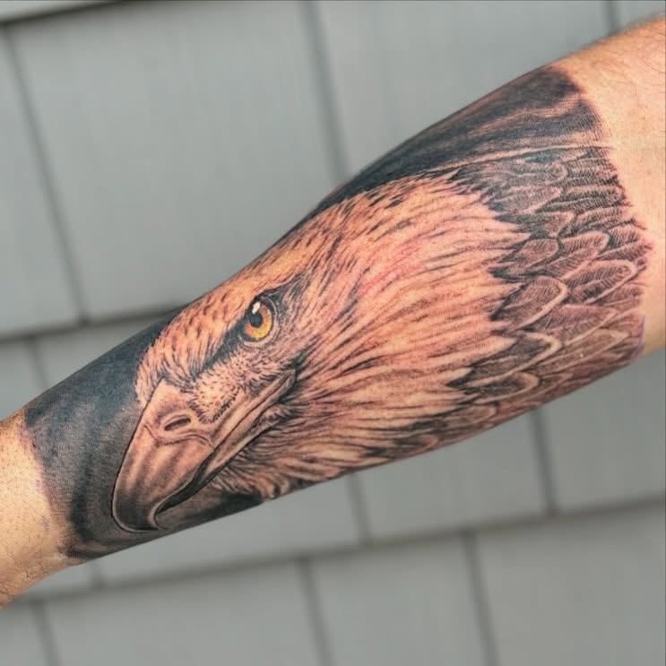 Eagle head realism tattoo on the forearm by Iconic Ink, Millbury, Massachusetts