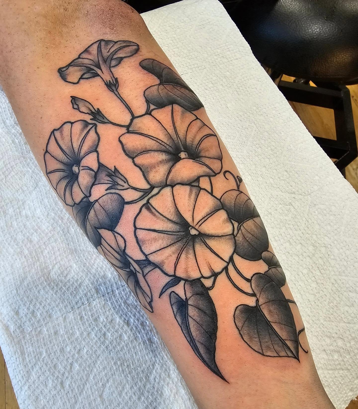 Morning glory flowers black and grey tattoo on the forearm by ๐๏ธ, Ashland, Virginia