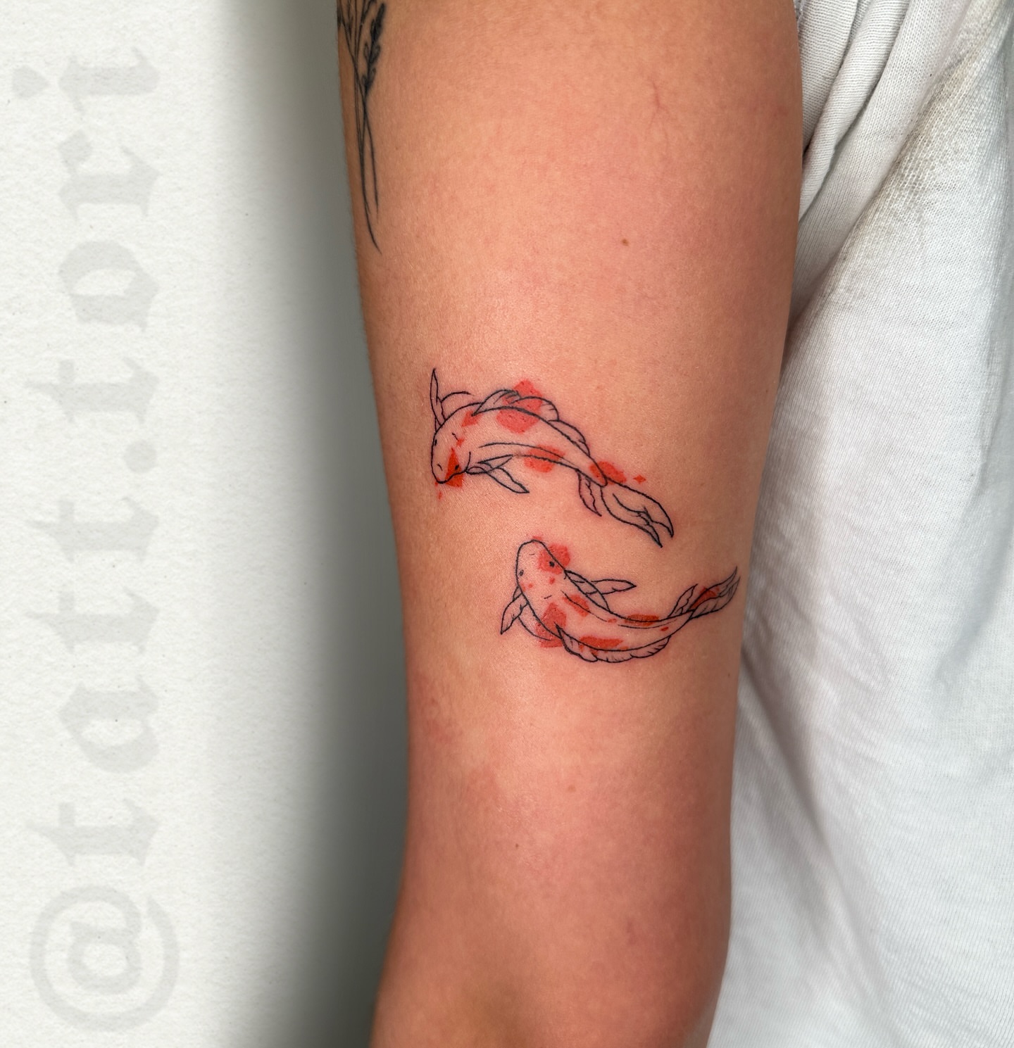 Koi fish dotwork tattoo on the forearm by 𝔱𝔬𝔯𝔦