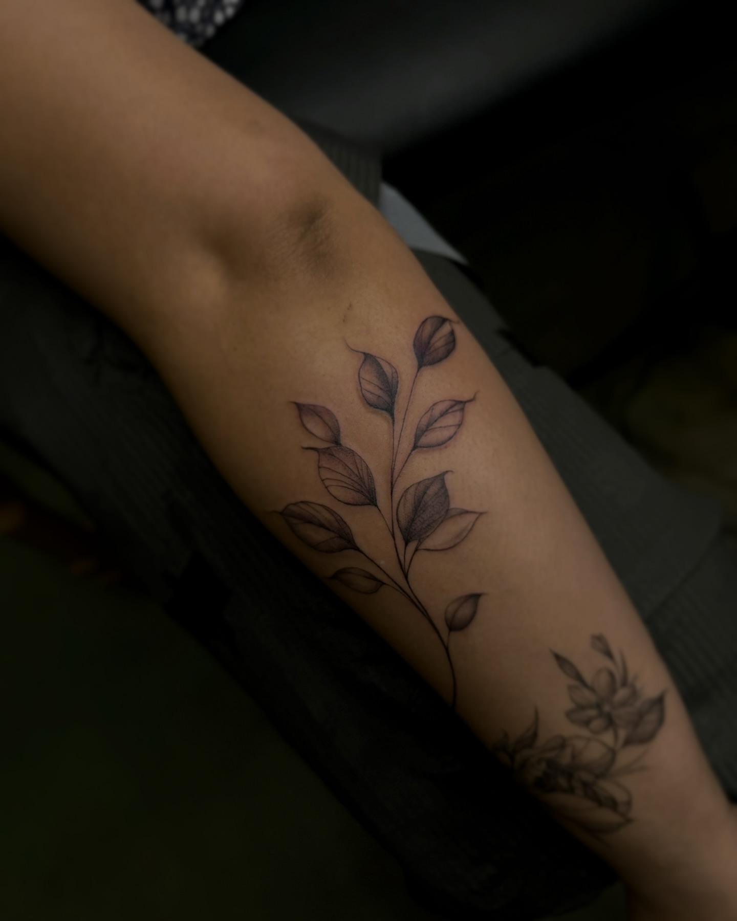 Leafy branch black and grey tattoo on the forearm by Dee, San Diego, California