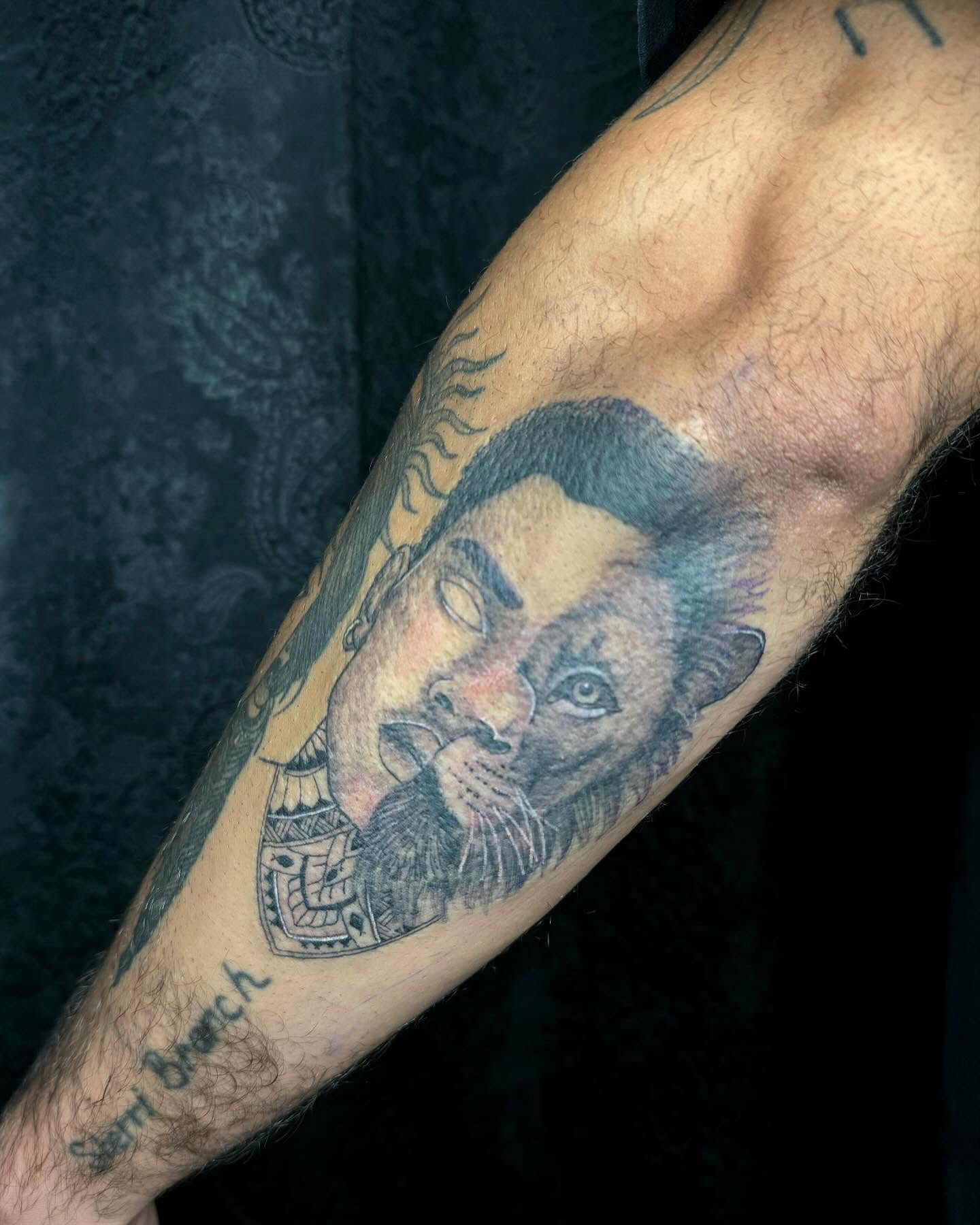 Lion head American traditional tattoo on the forearm by @inkedbybanti