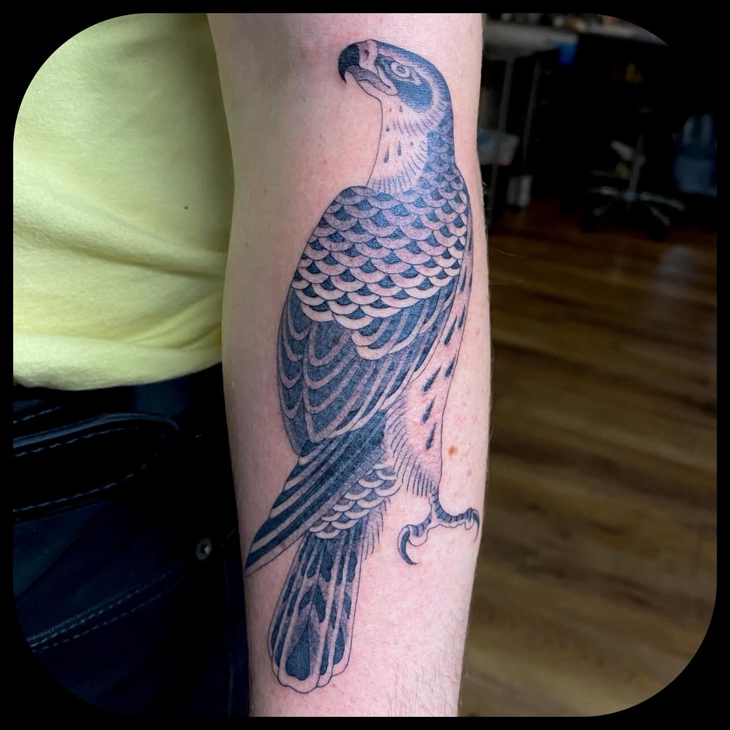 Hawk black and grey tattoo on the forearm by ๐ญ๐๐ ๐ฎ๐๐๐๐๐, Berkeley, California