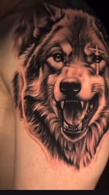 Wolf realism tattoo by Xando