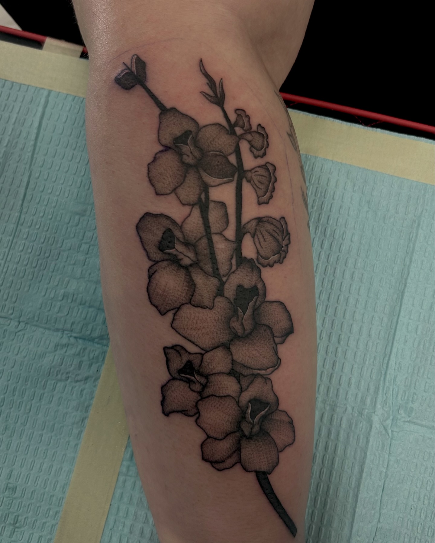 Tattoo by @deadgirltatting — black_and_grey