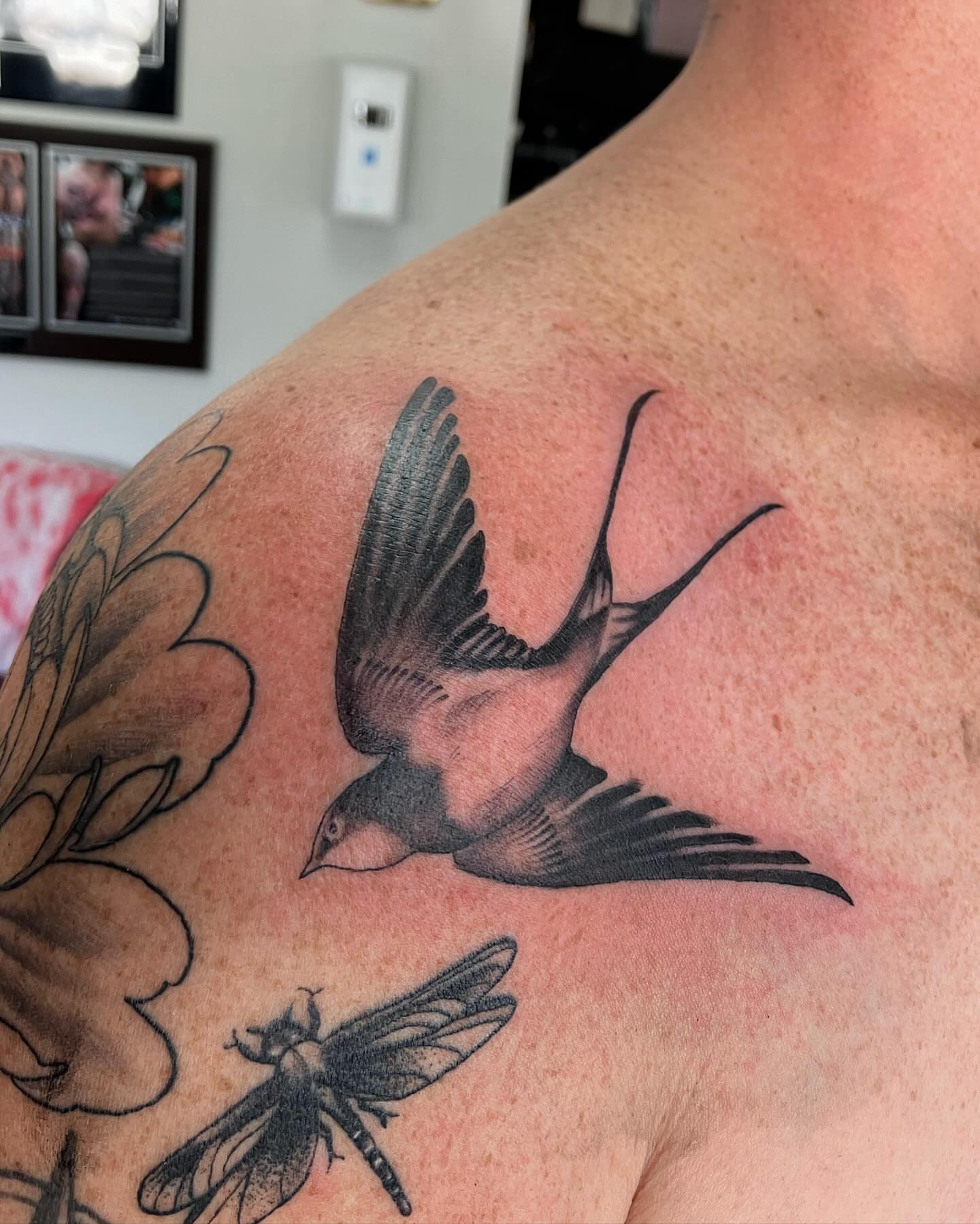 Swallow realism tattoo on the shoulder by Hunter McGinnis