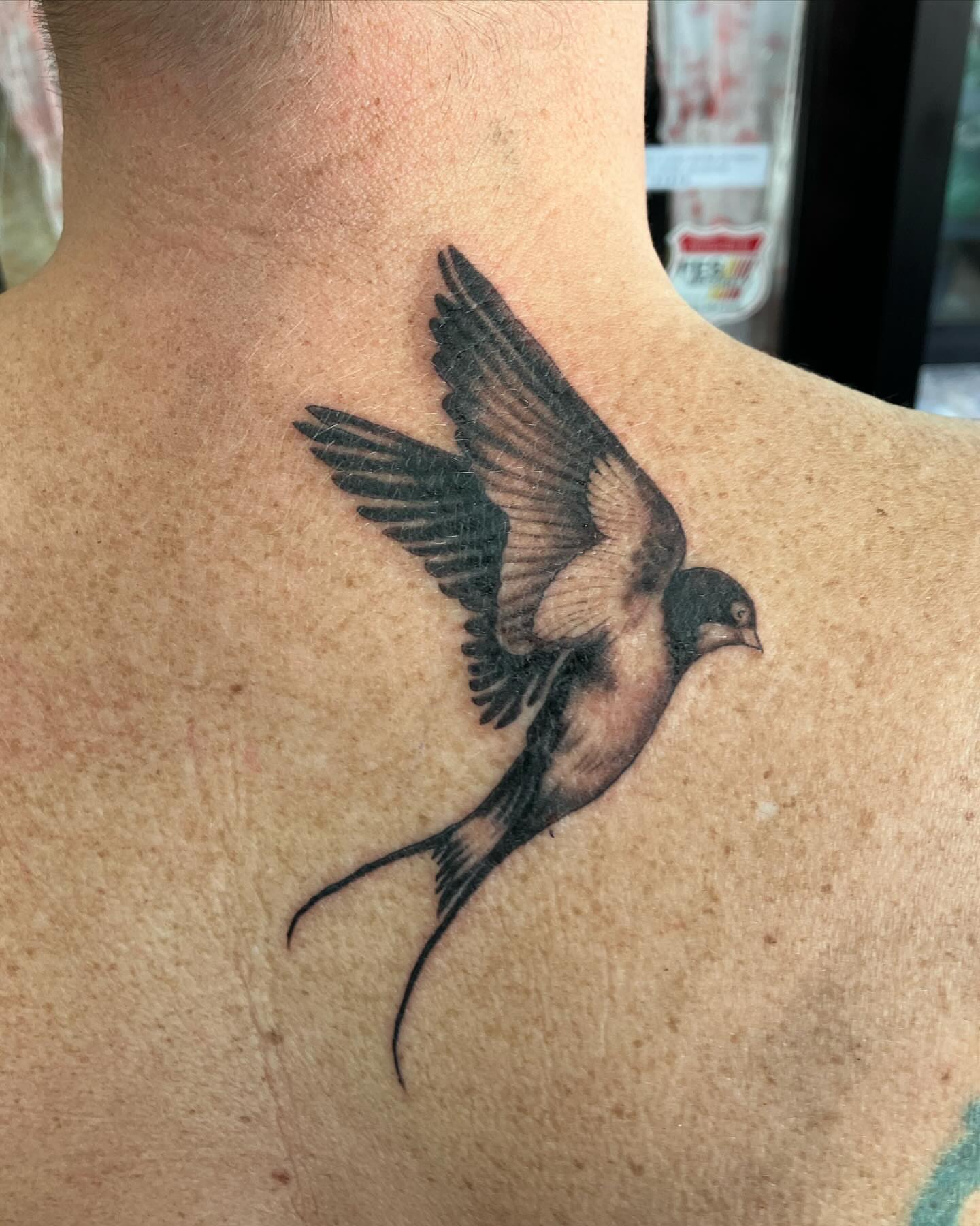 Swallow realism tattoo on the back by Hunter McGinnis