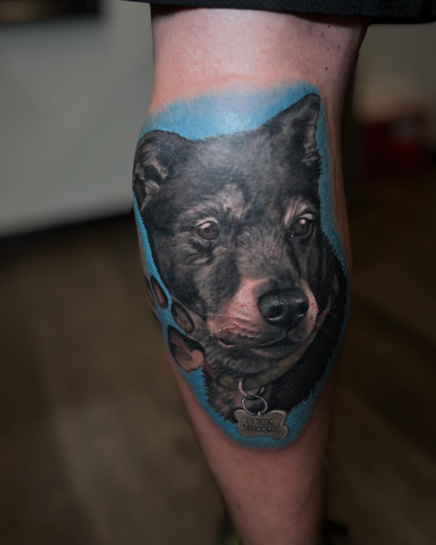 Bear realism tattoo on the forearm by Katlyne Jones