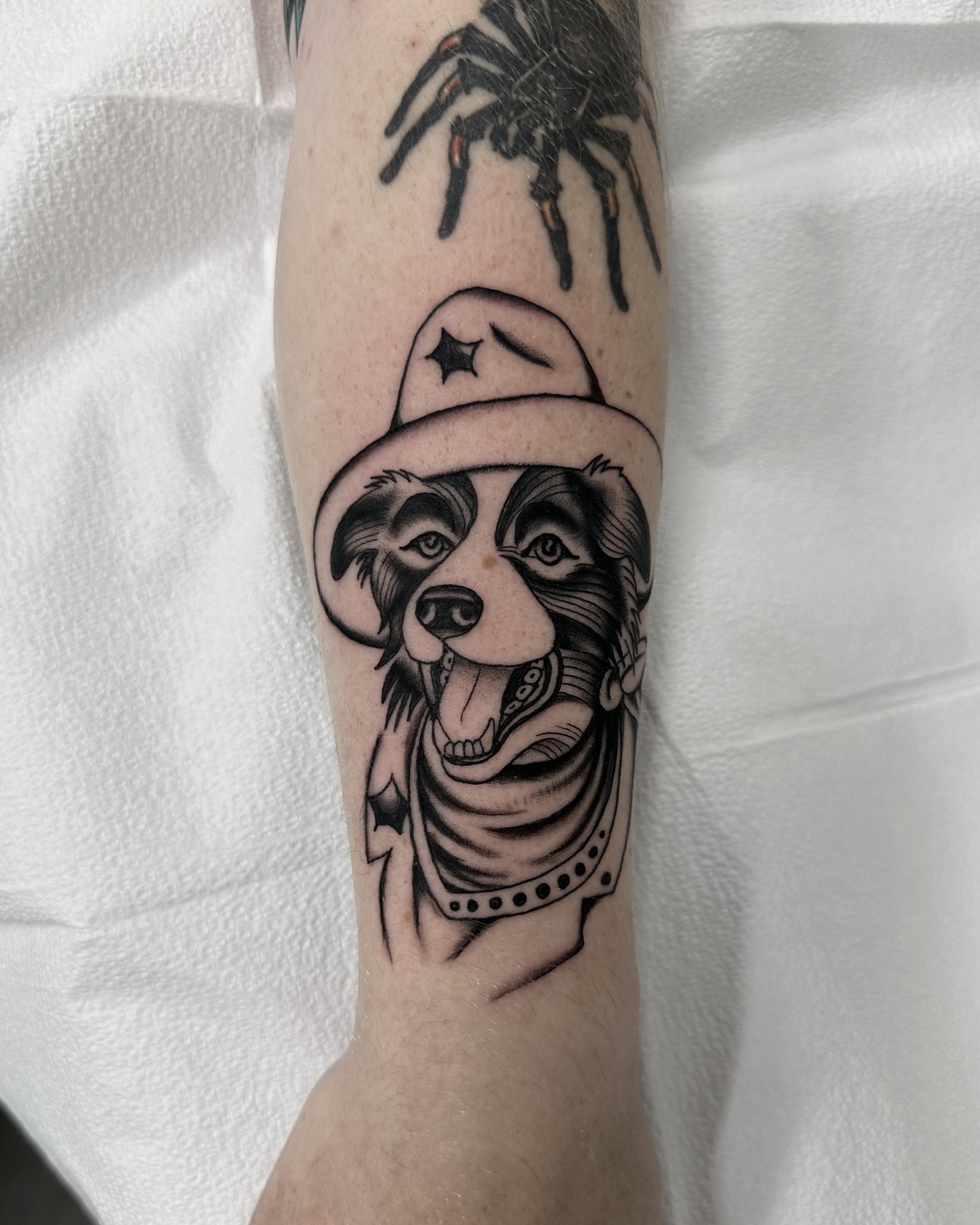 Dog wearing hat black and grey tattoo on the forearm by Nicholas Lee, San Francisco, California