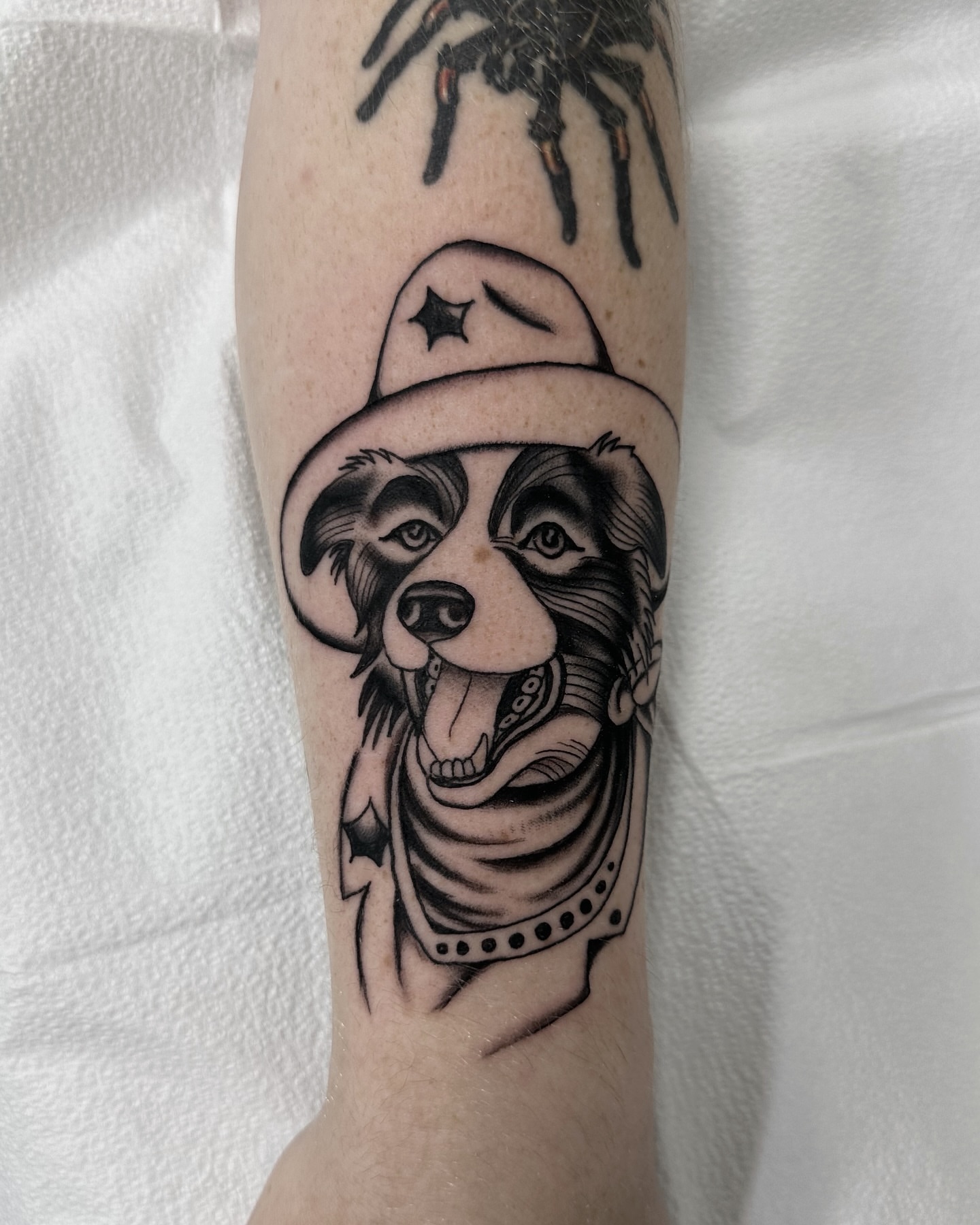 Dog wearing hat black and grey tattoo on the forearm by Nicholas Lee, San Francisco, California
