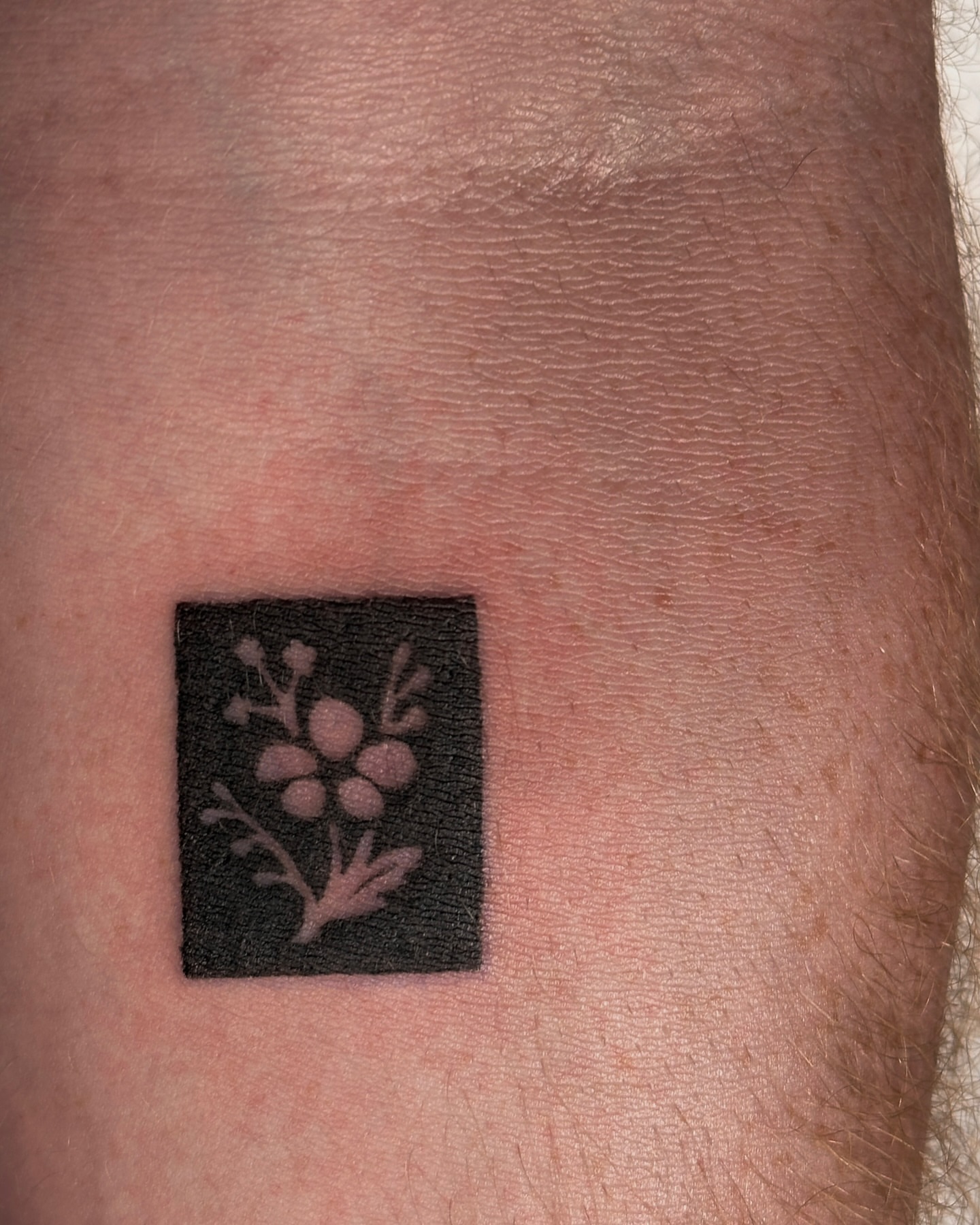 Flower black and grey tattoo on the forearm by Hayley Jude