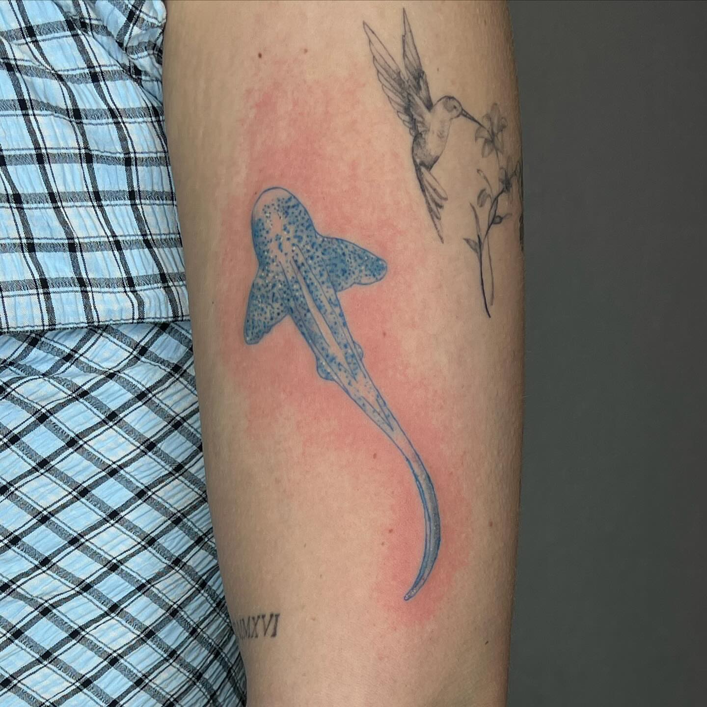 Ray fish dotwork tattoo on the forearm by josselyn ☪︎