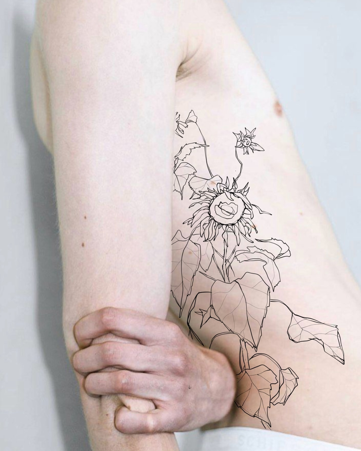 Tattoo by @badlystuffed — fine_line