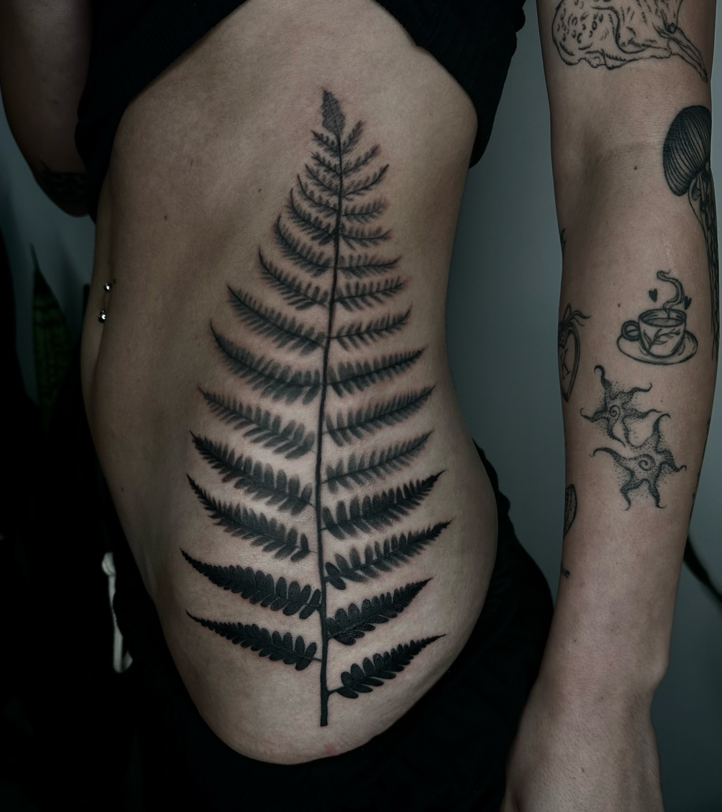 Fern leaf black and grey tattoo on the ribs by ✮ Monarch Tattoos ✮