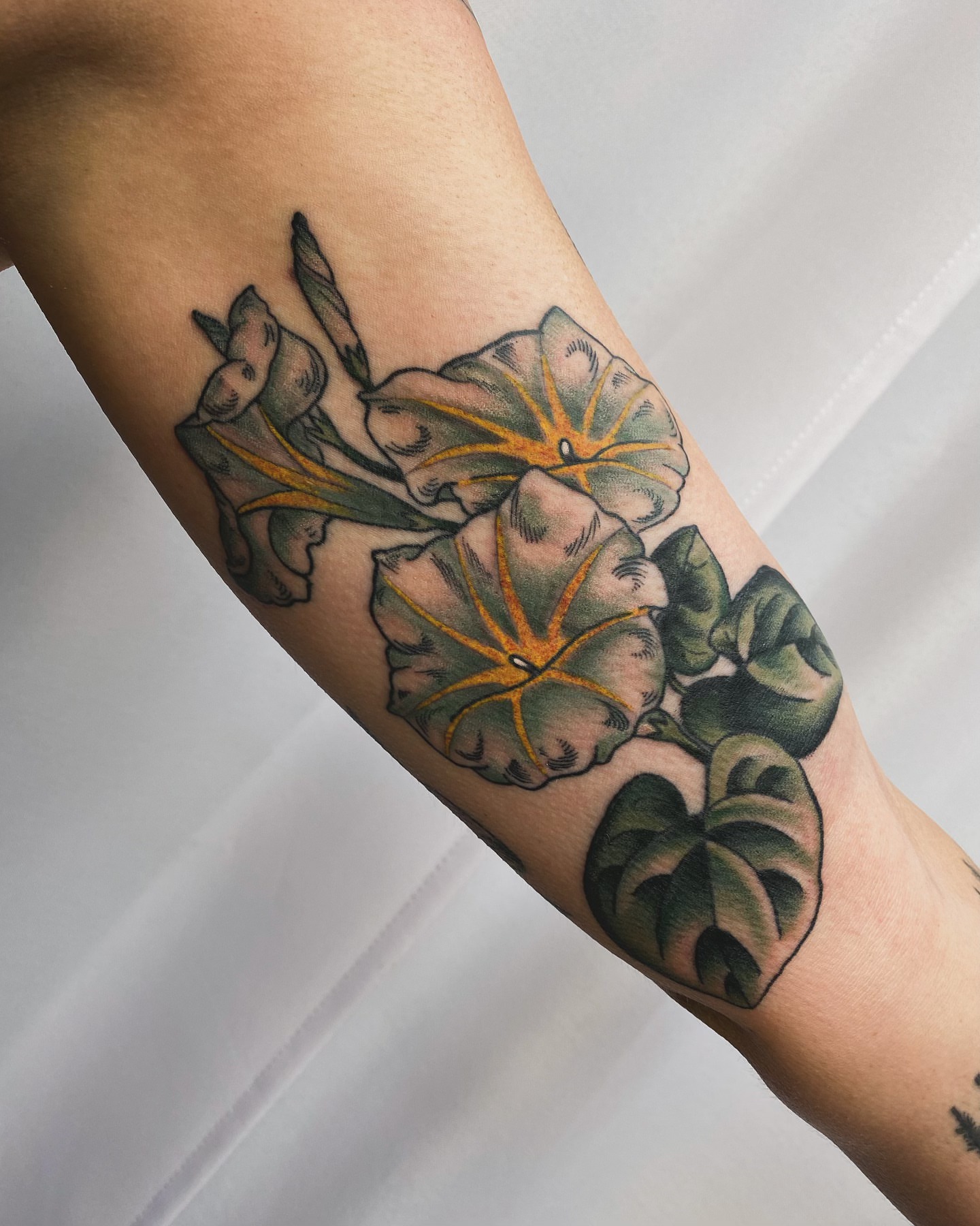 Morning glory flowers American traditional tattoo on the forearm by Adam Bailey, Portland, Oregon
