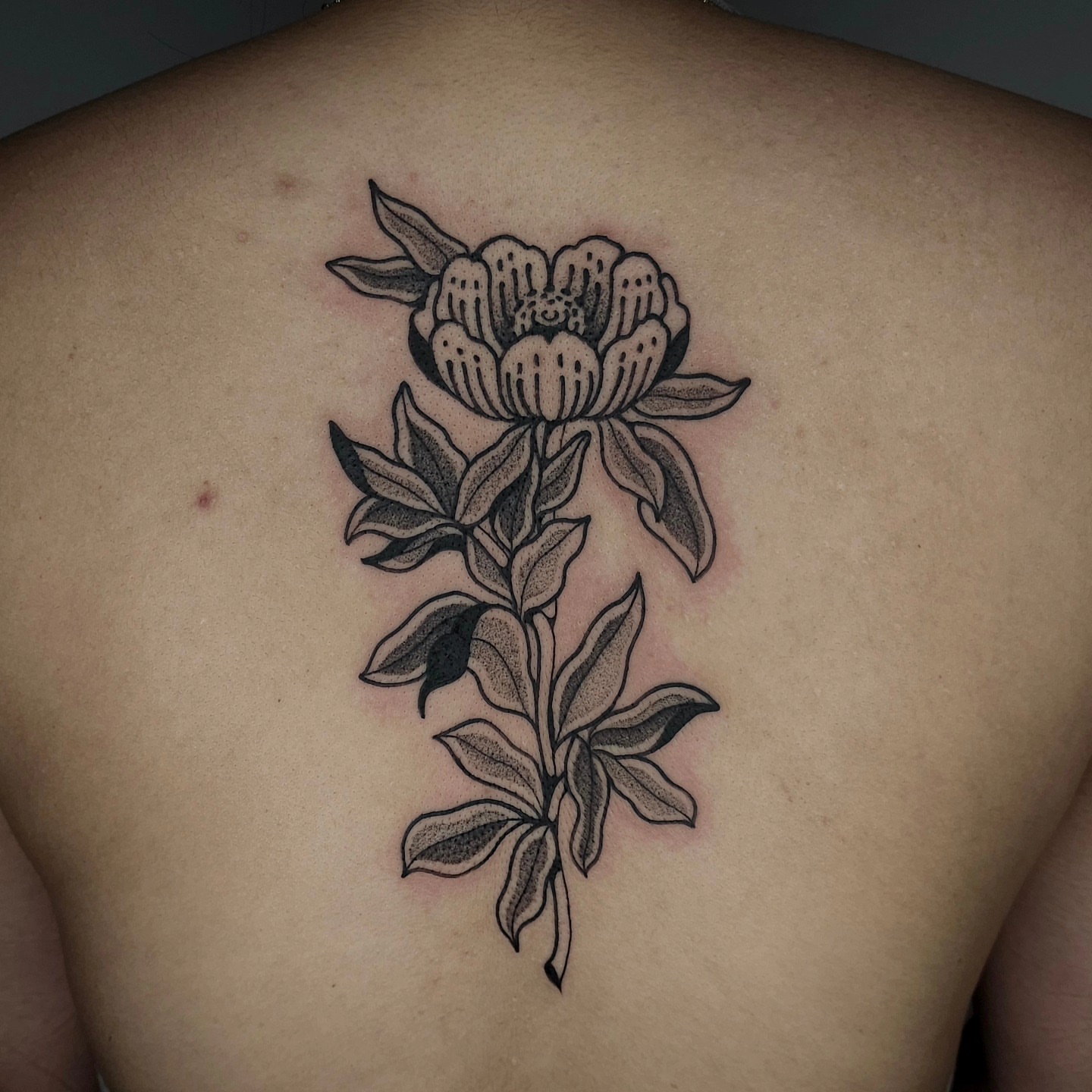 Tattoo by @hey.julieanne — black_and_grey