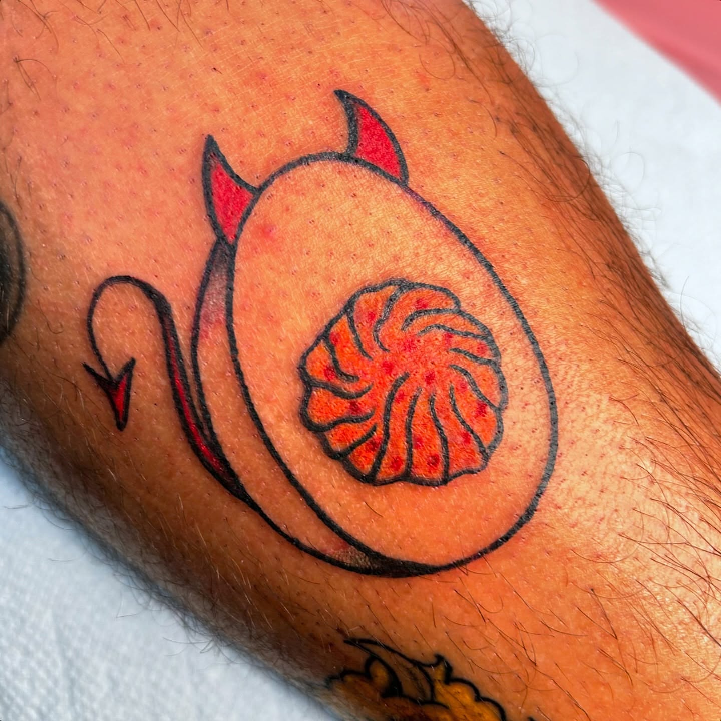 Nautilus shell American traditional tattoo on the forearm by Lauren Caldwell 🔮🌙