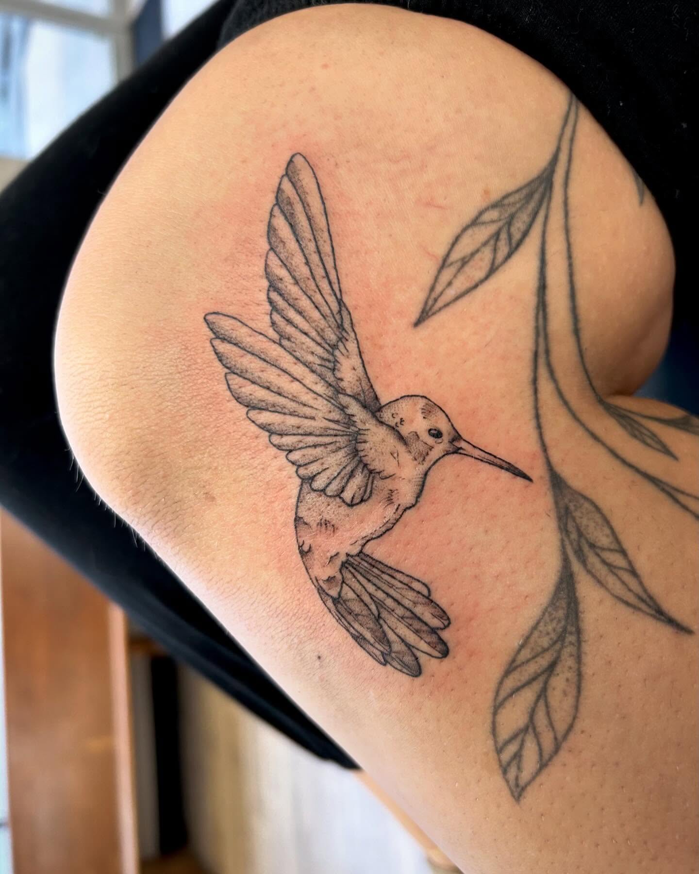 Hummingbird dotwork tattoo on the shoulder by 𝕯𝖆𝖓𝖎