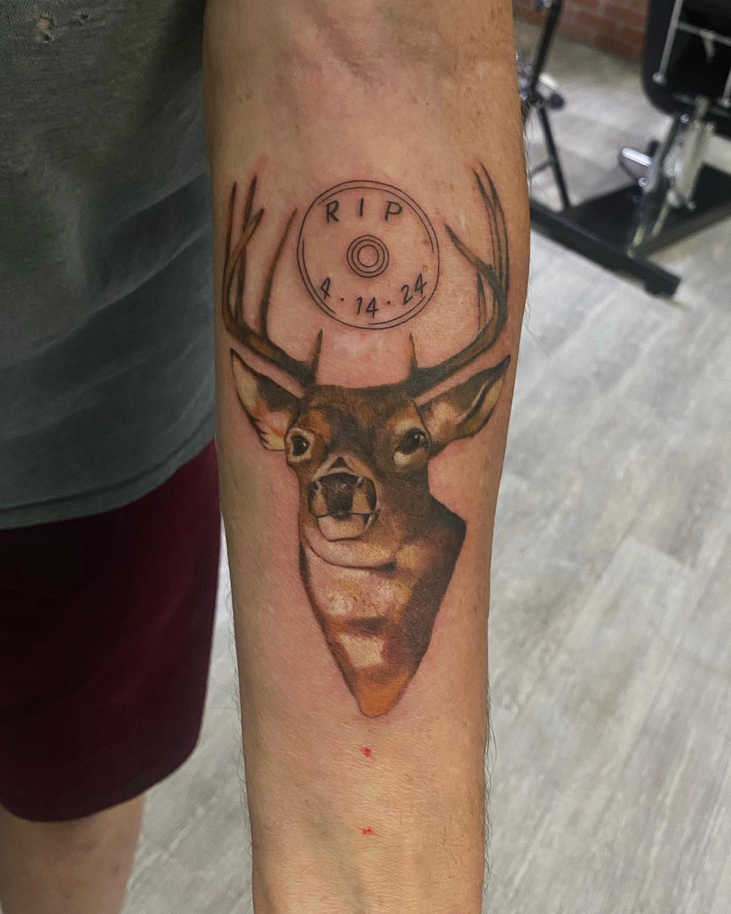 Deer head realism tattoo on the forearm by Amanda Lineweaver
