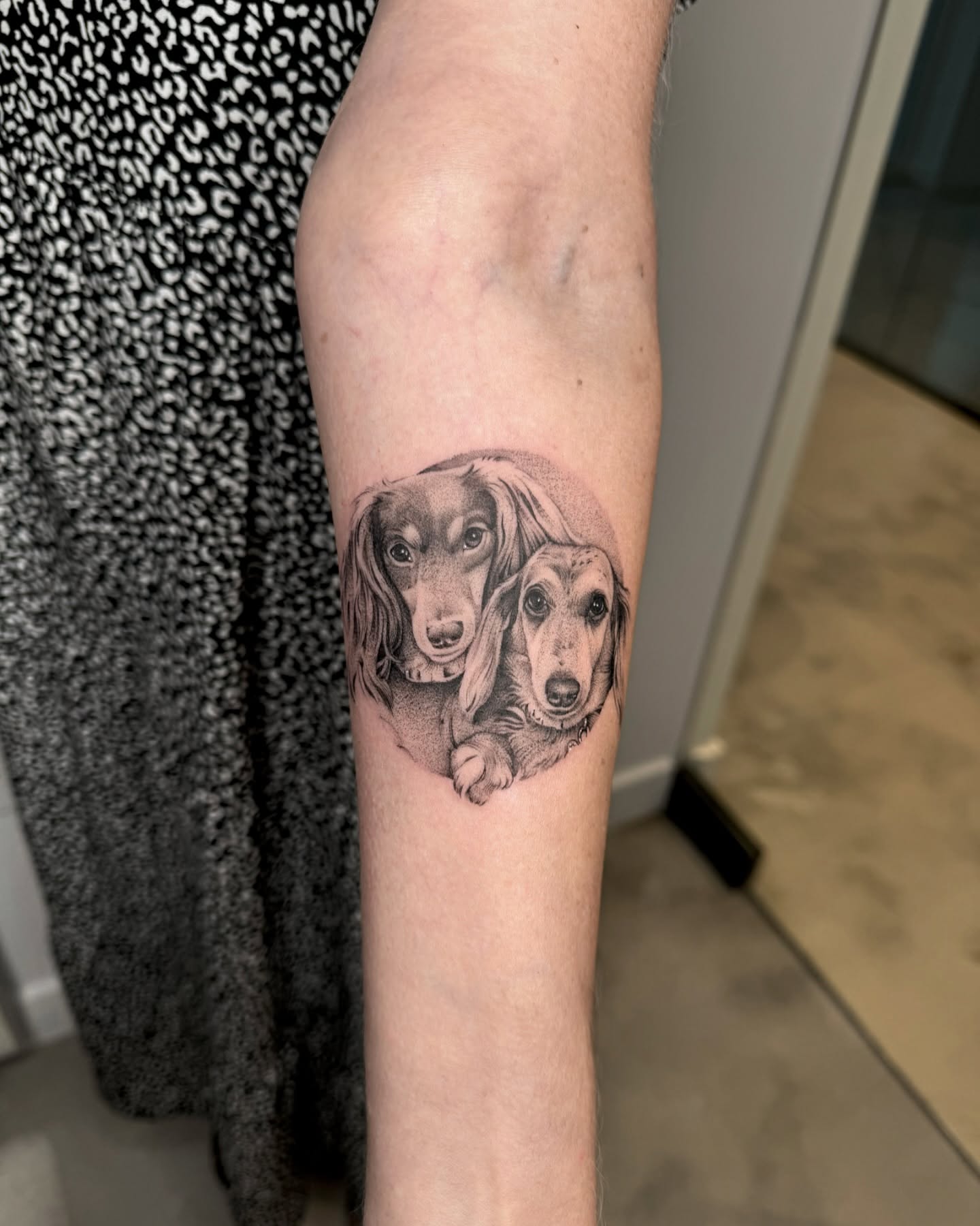 Dachshunds realism tattoo on the forearm by Carla AKA Turnip girl