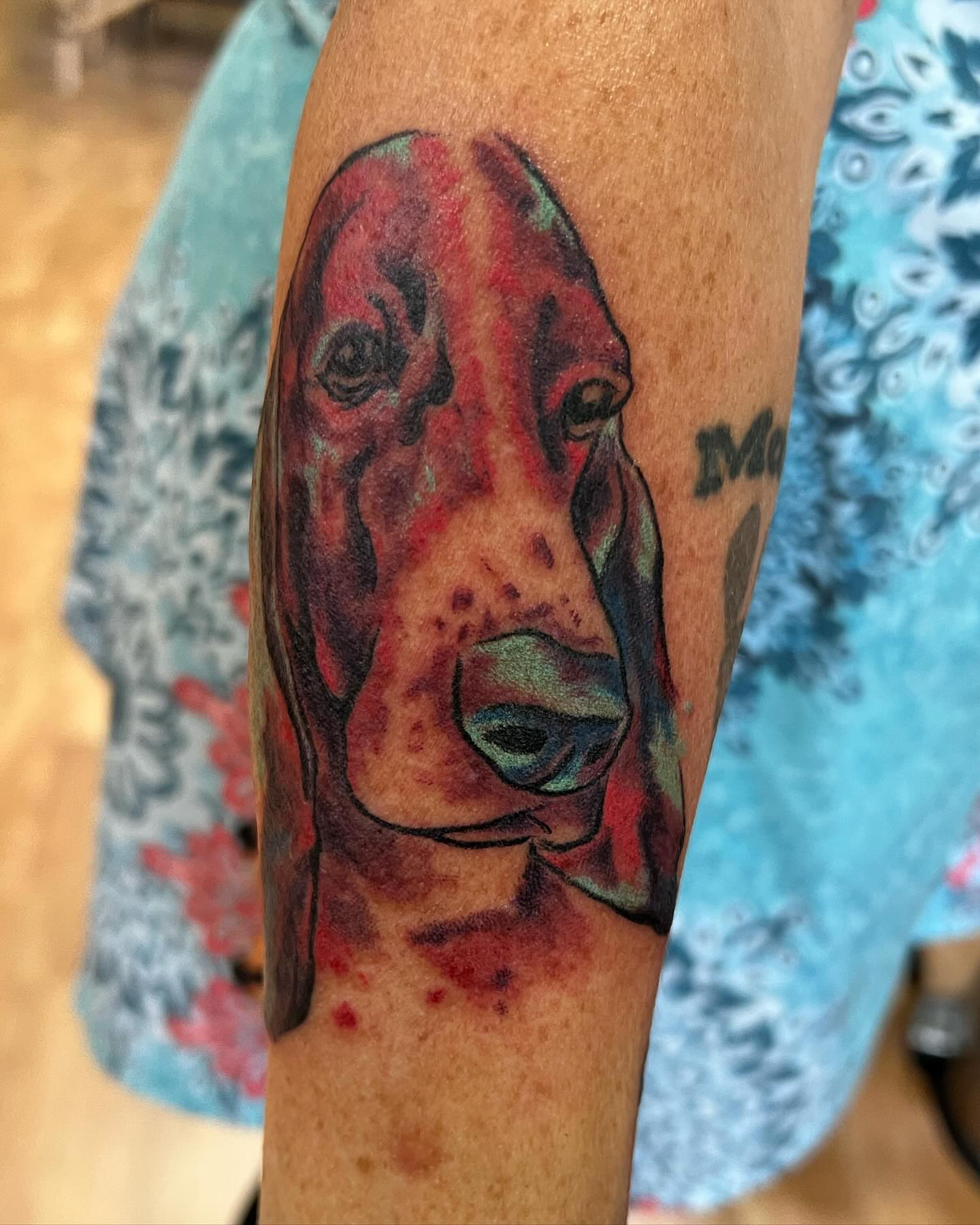 Bloodhound watercolor tattoo on the forearm by Taya Lynn, Hudson, Wisconsin
