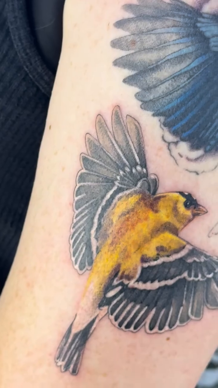 Birds and flowers realism tattoo by 𓆏 Alyssa Carbonara 𓆏