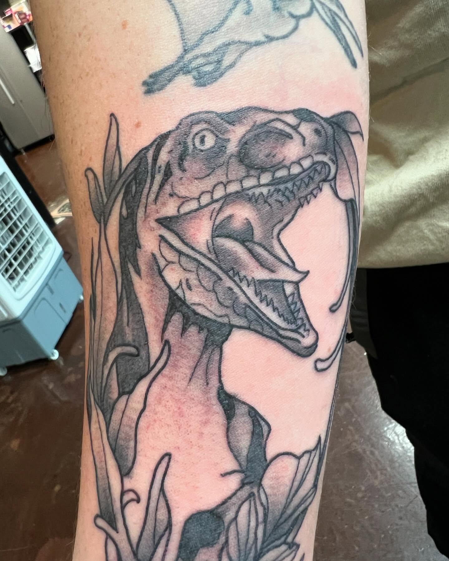 T-rex realism tattoo on the forearm by Cody Marl