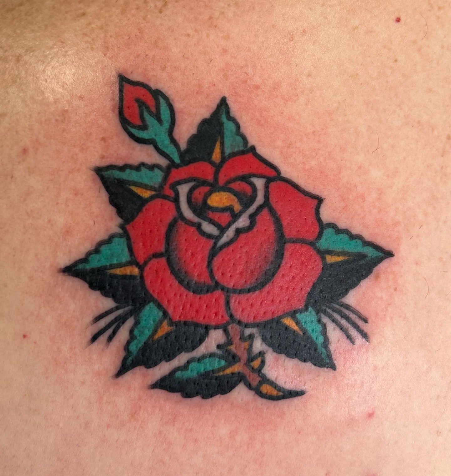 Rose American traditional tattoo on the shoulder by Alex Fannin