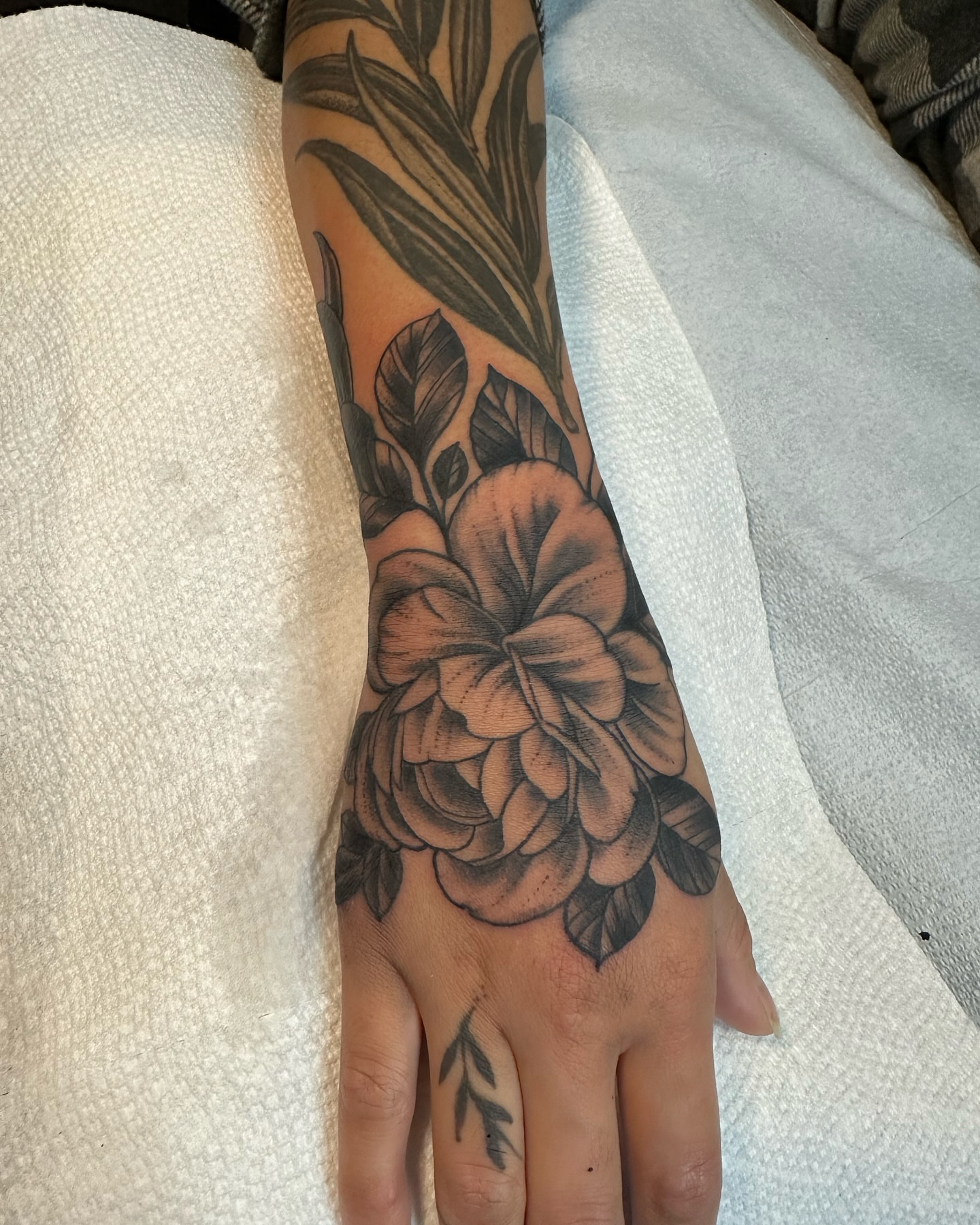 Tattoo by @rollhardy — black_and_grey