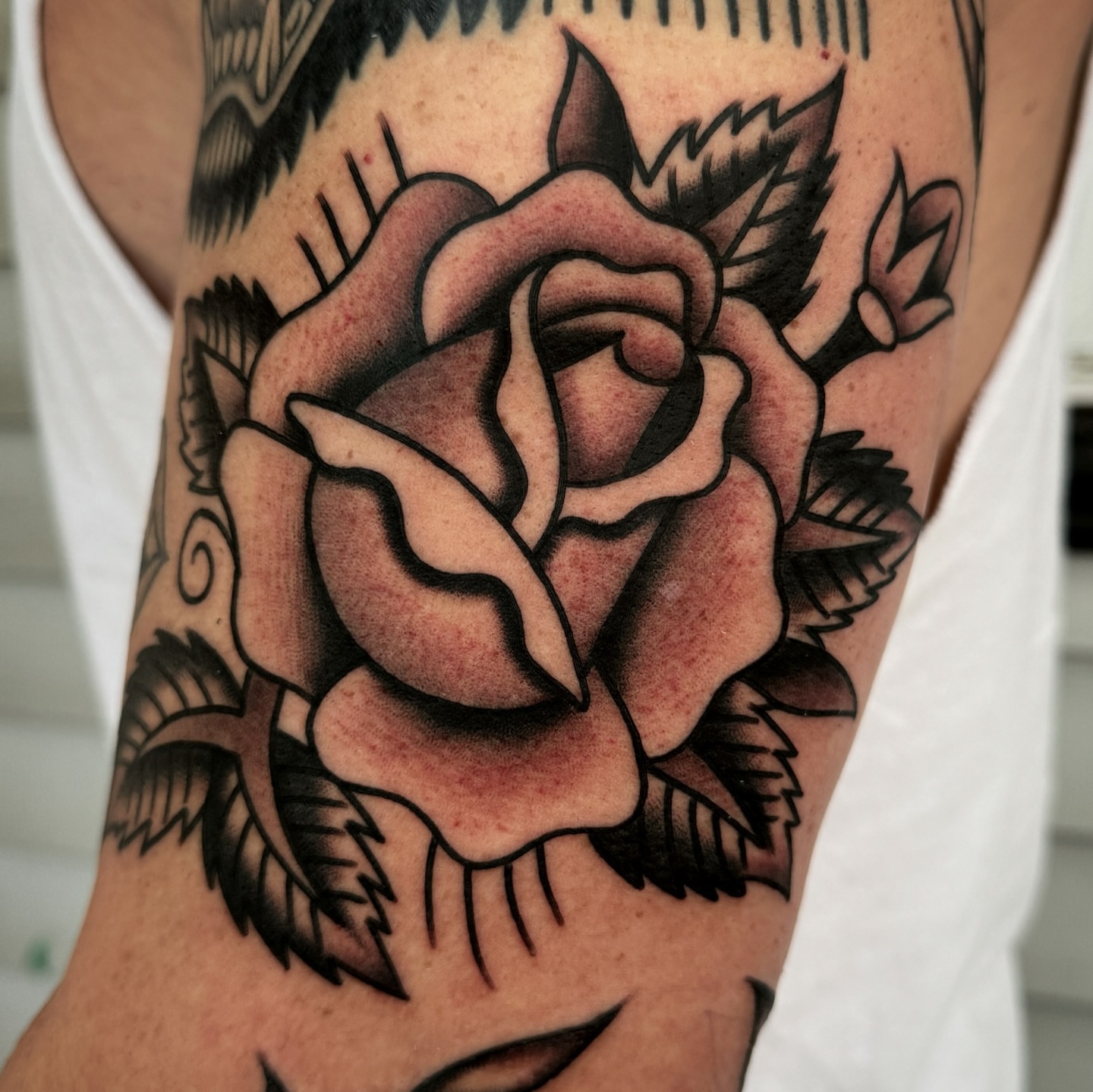 Rose American traditional tattoo on the forearm by Daniel Mesen