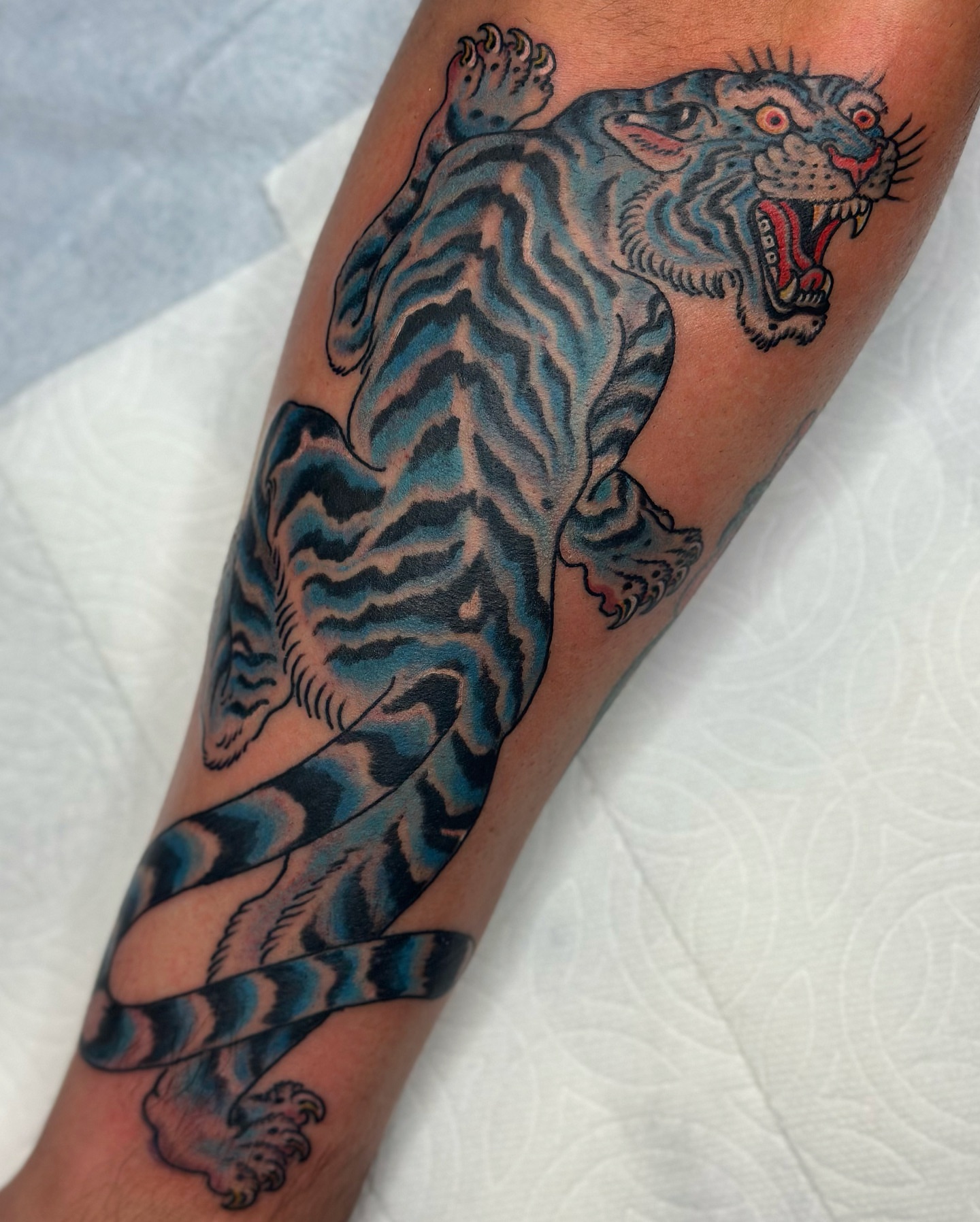 Tiger American traditional tattoo on the forearm by B e A U B R A D y, Costa Mesa, California