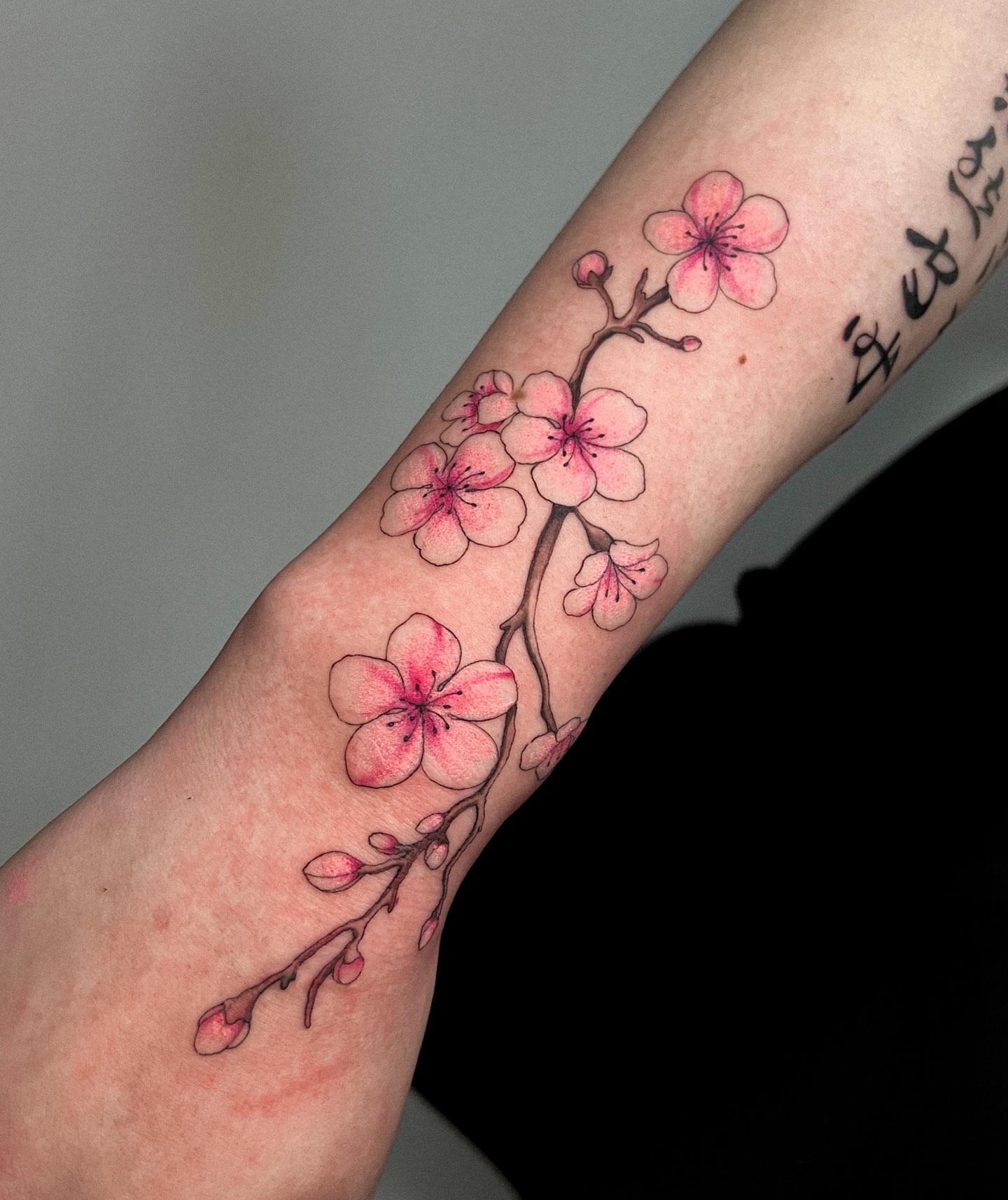 Tattoo by @gatxdelboske_ — watercolor