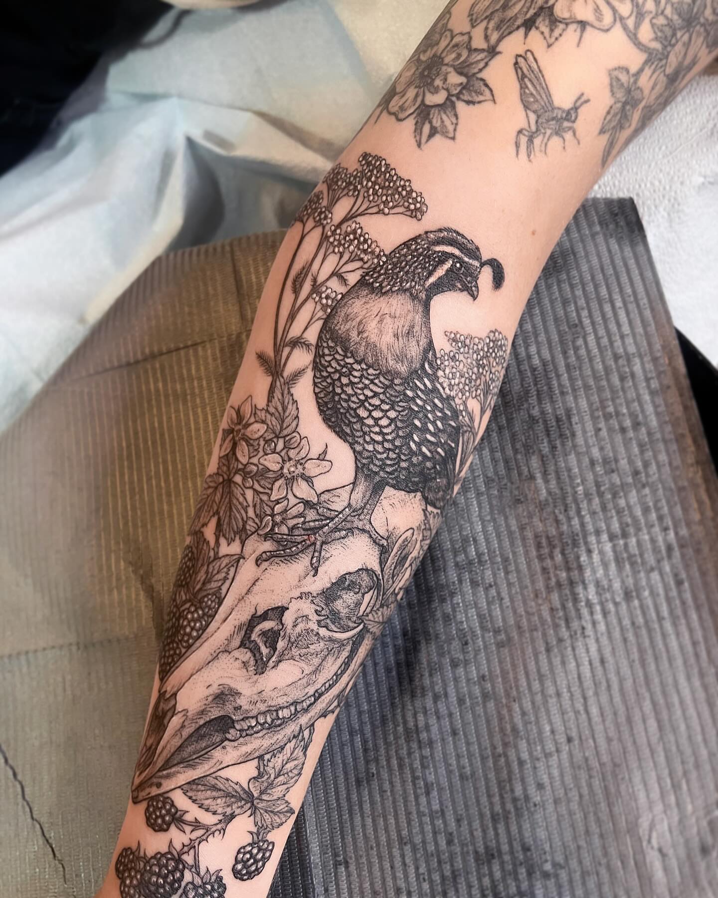Bird and skull realism tattoo on the forearm by 𝗝𝗲𝘀𝘀𝗶𝗲 𝗩𝗶𝗼𝗹𝗲𝘁
