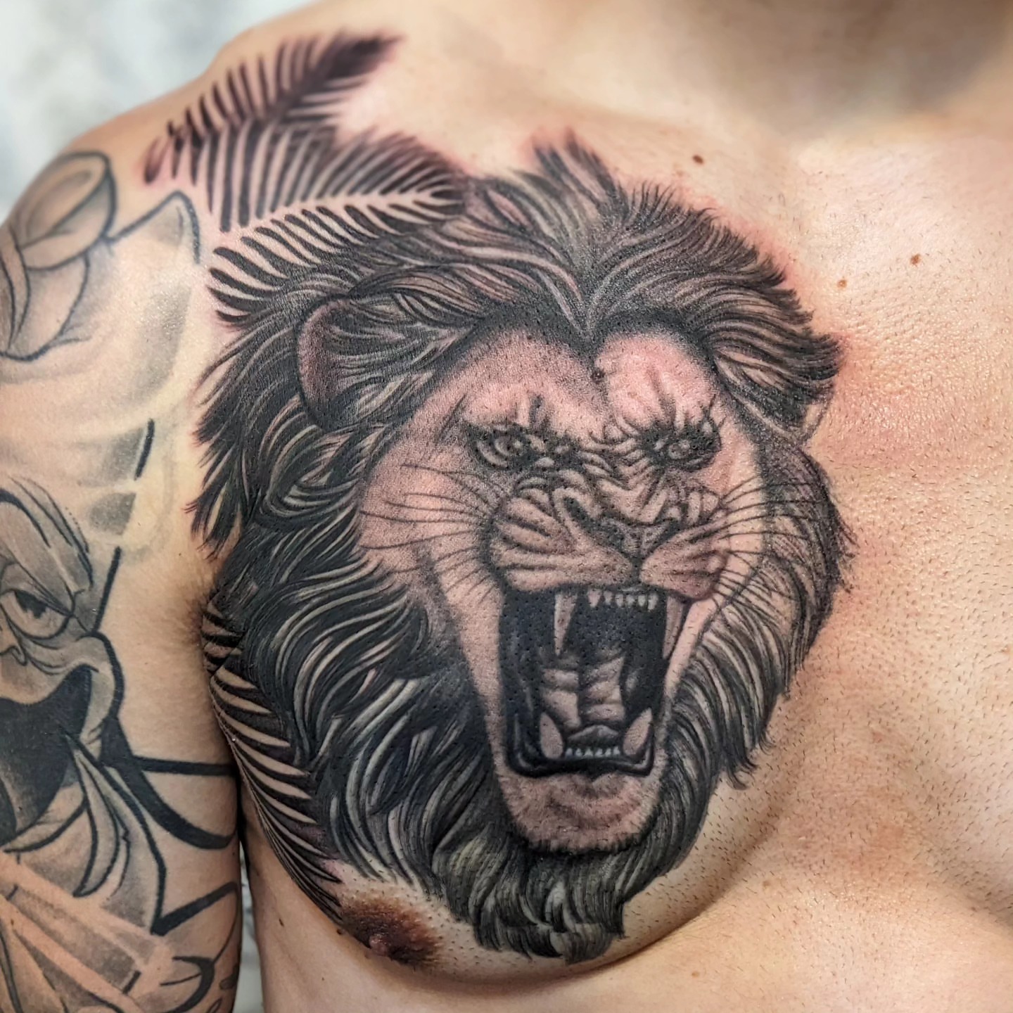 Roaring lion realism tattoo on the chest by Matt Simmonds