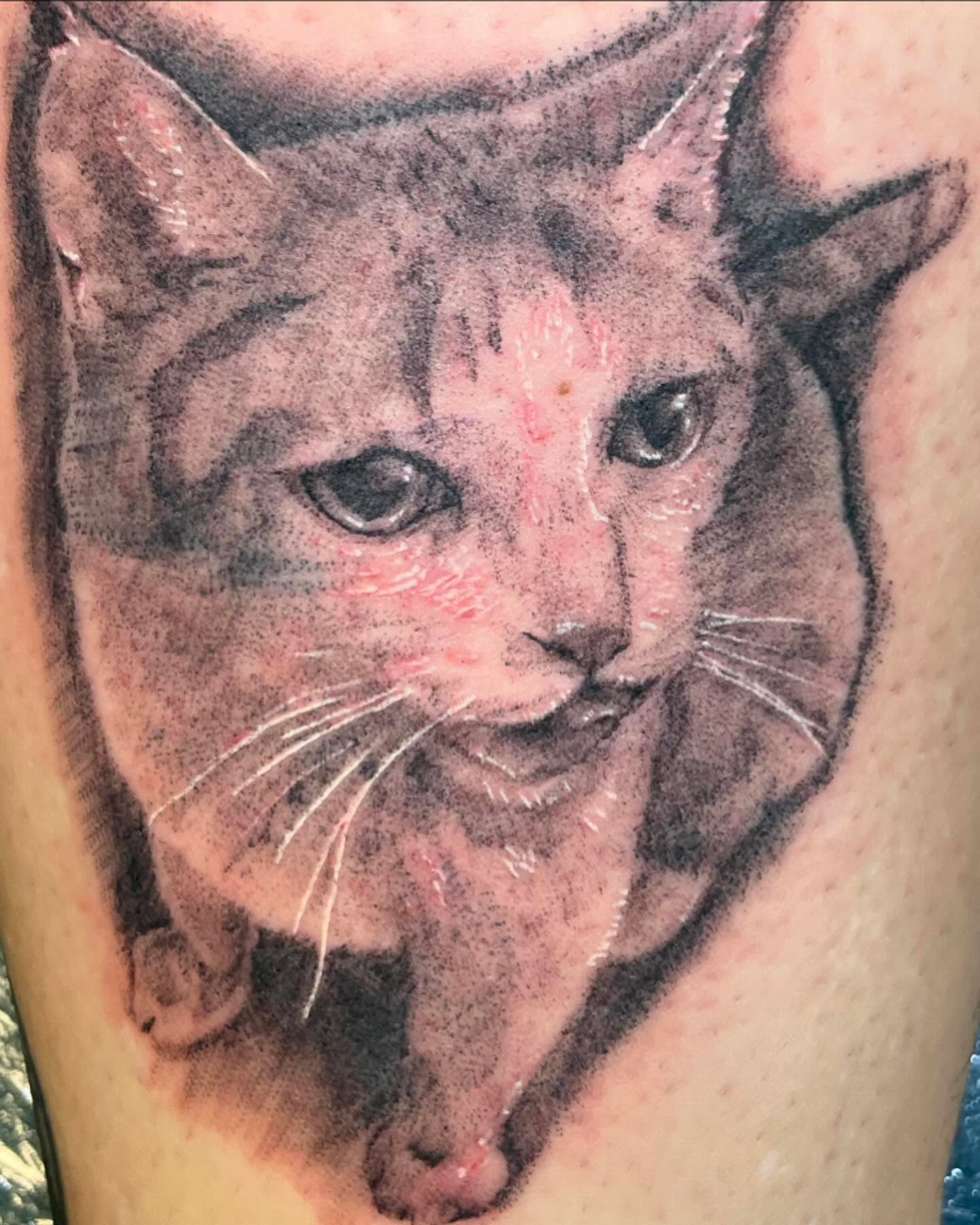 Cat realism tattoo on the thigh by Evan