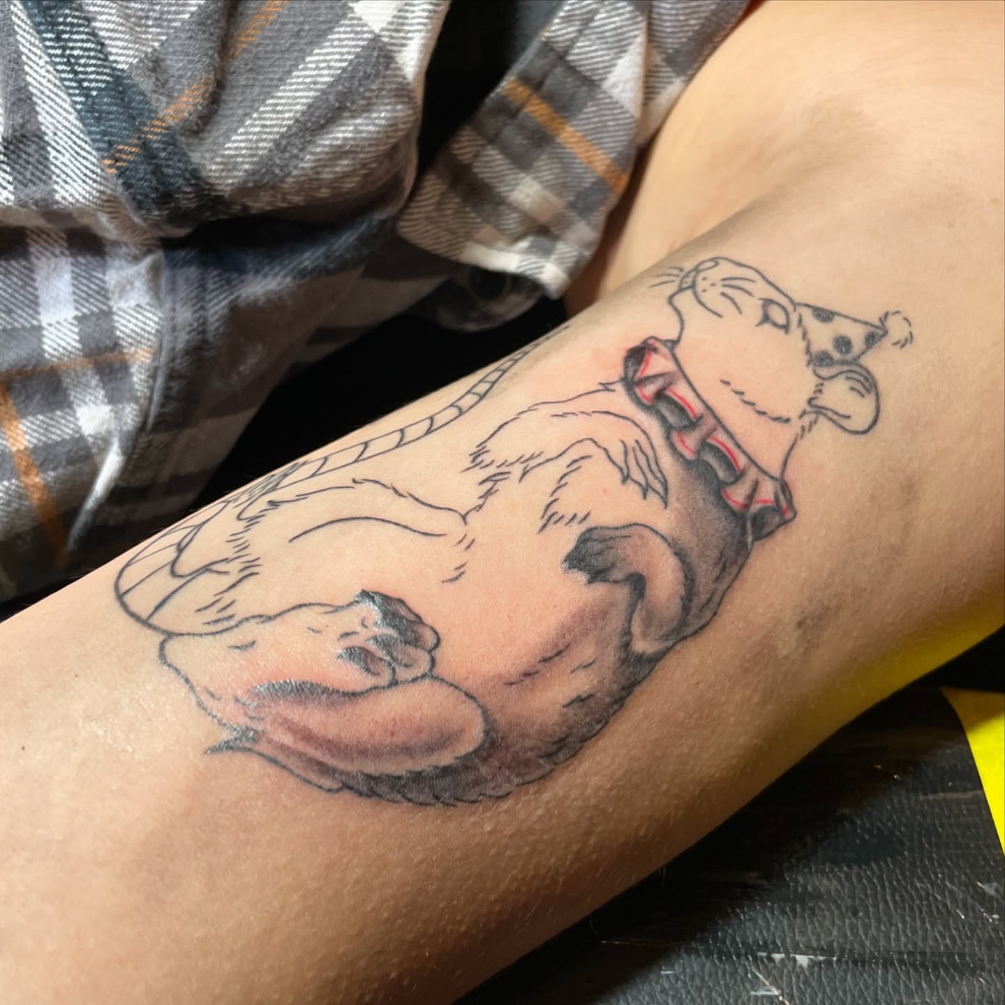 Tattoo by @krasuetattoo — realism