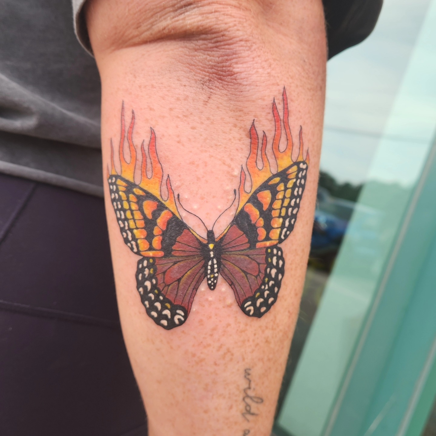 Tattoo by @cerberustattoos — dotwork, realism