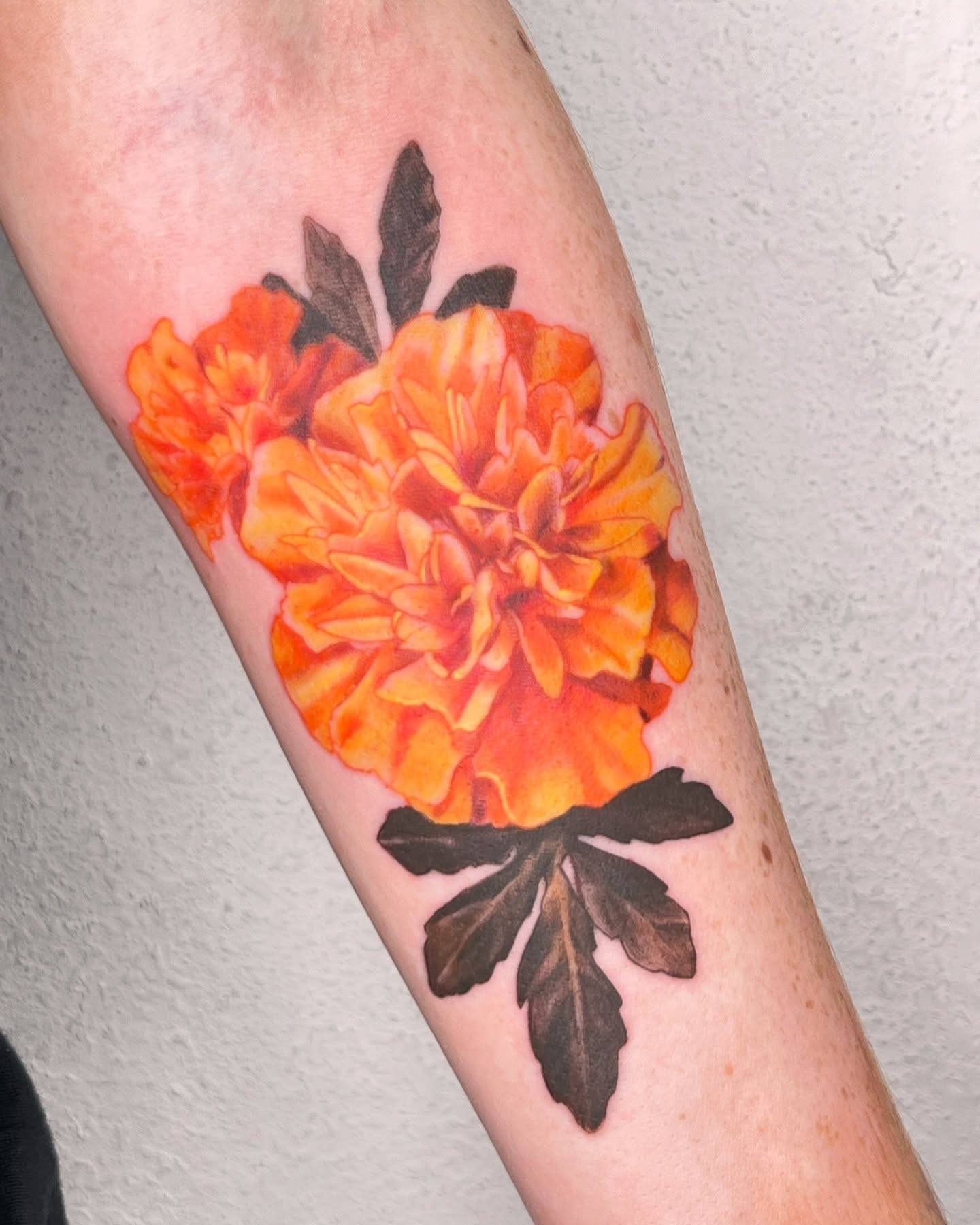 Marigold realism tattoo on the forearm by Jordan